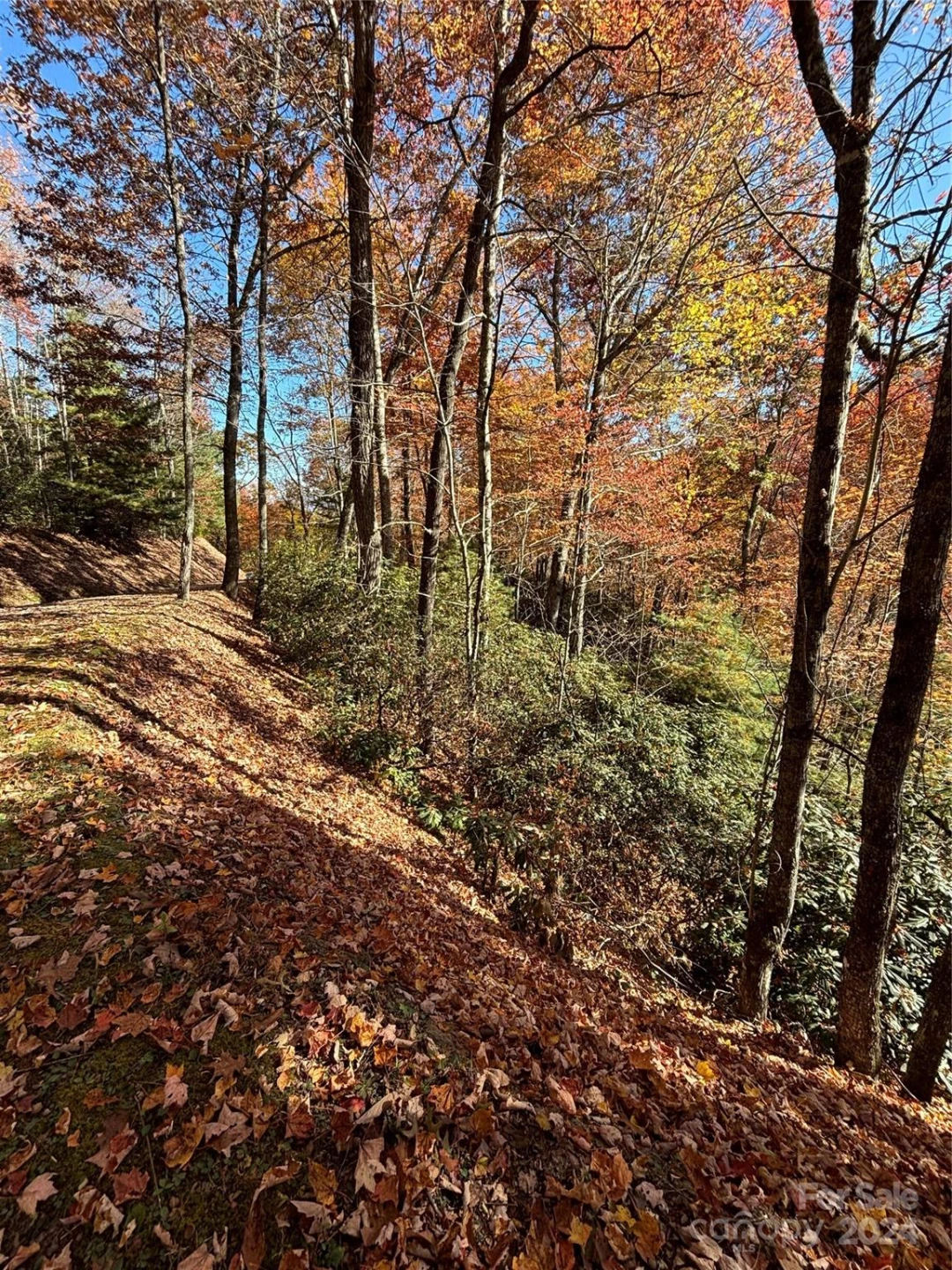 Lot 33 Coppermine Ridge #33 - Photo 6