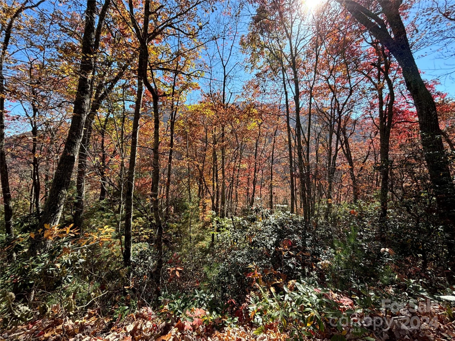 Lot 33 Coppermine Ridge #33 - Photo 7