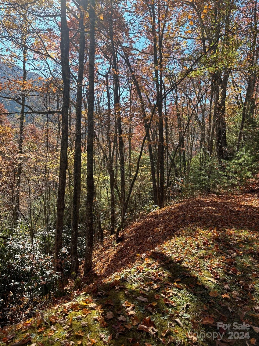 Lot 33 Coppermine Ridge #33 - Photo 8