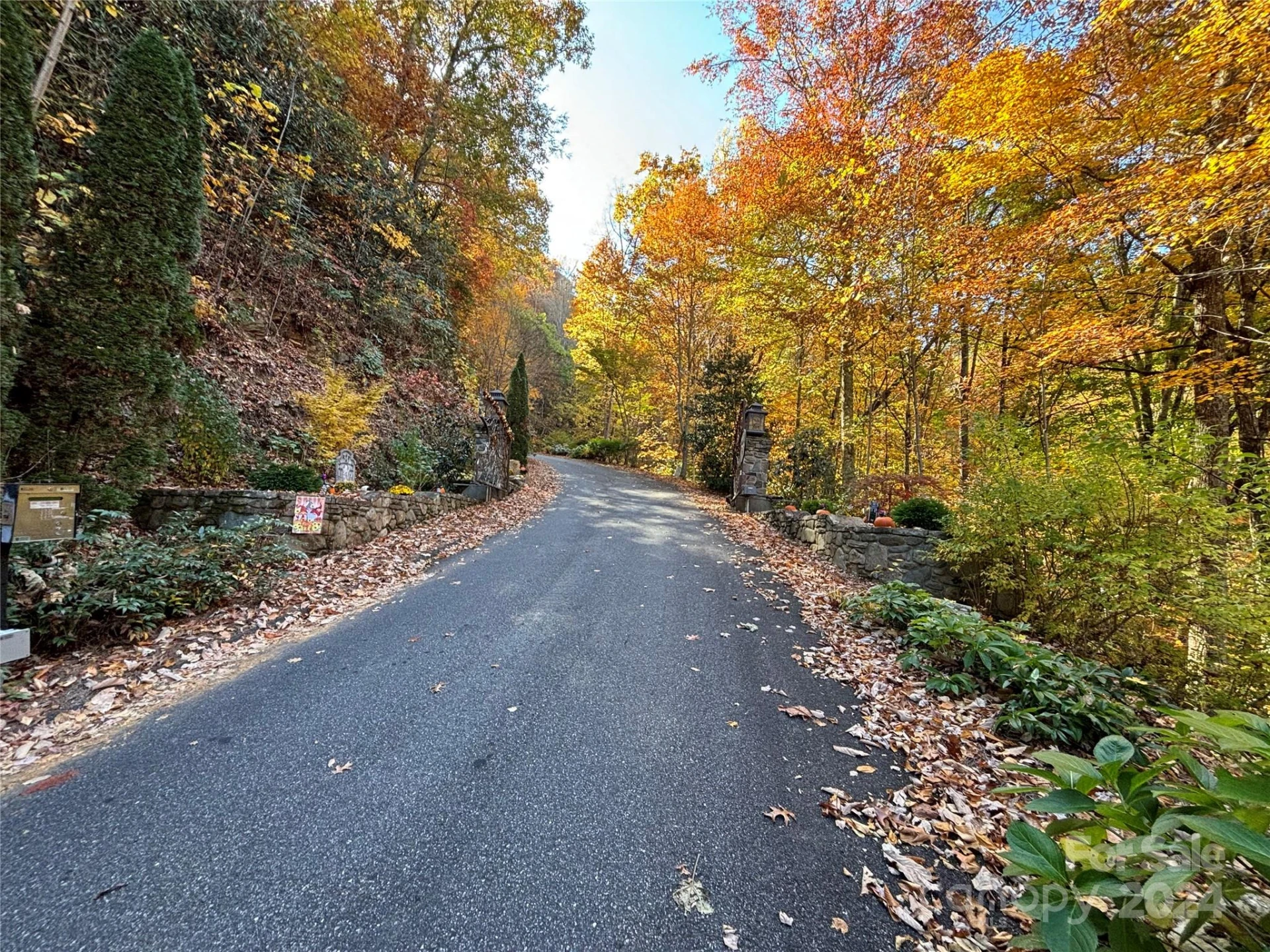 Lot 33 Coppermine Ridge #33 - Photo 10