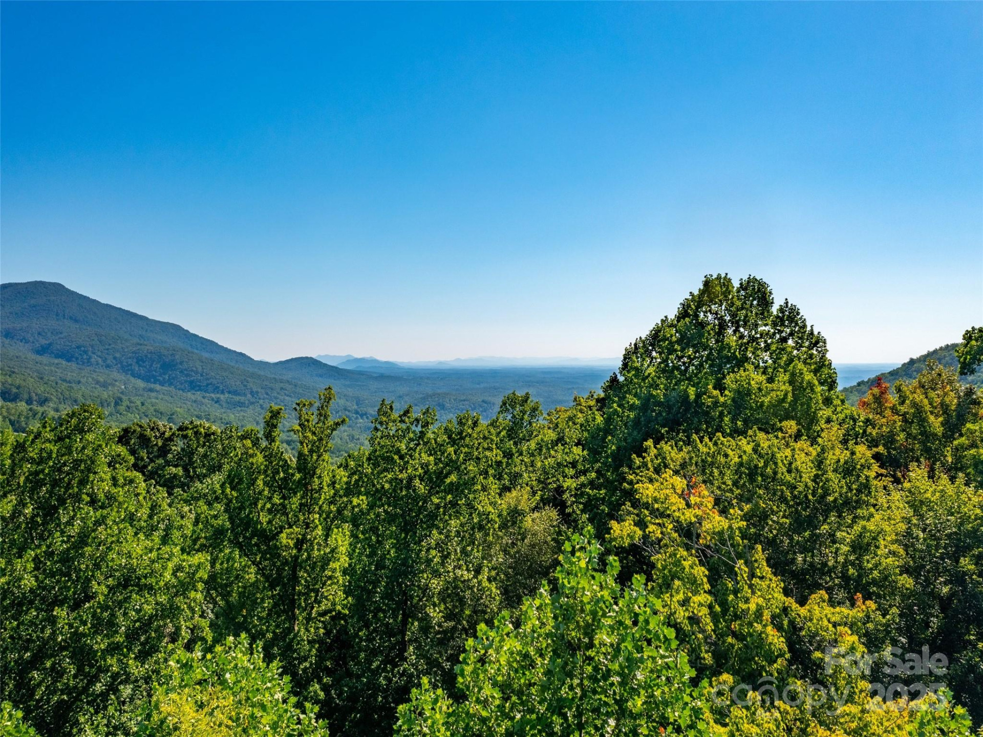 2140 Harm Creek Loop - Photo 17