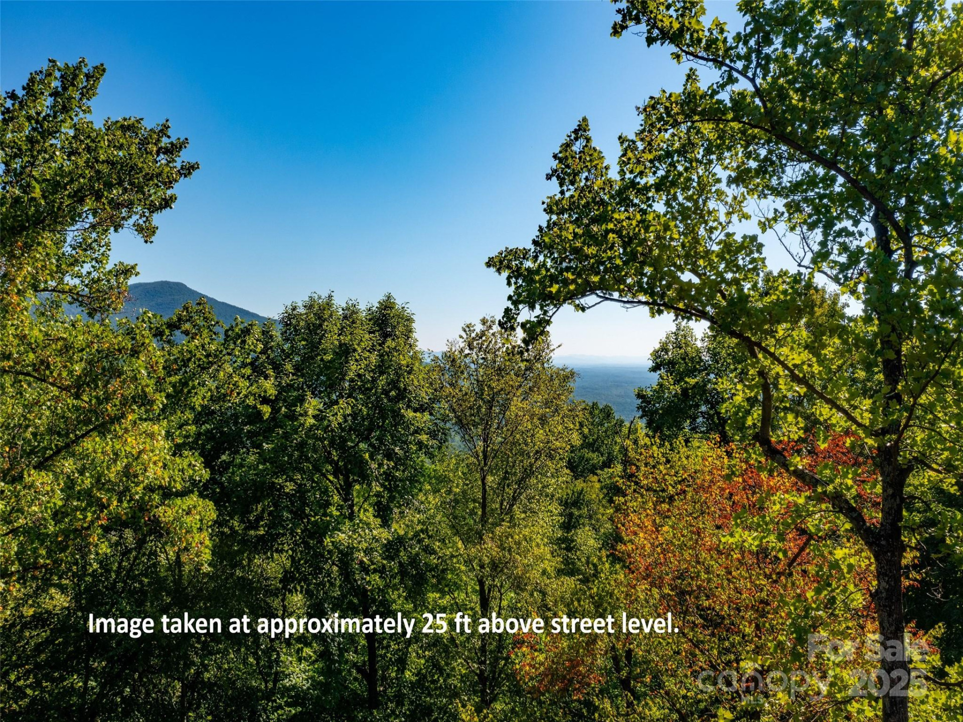 2140 Harm Creek Loop - Photo 3