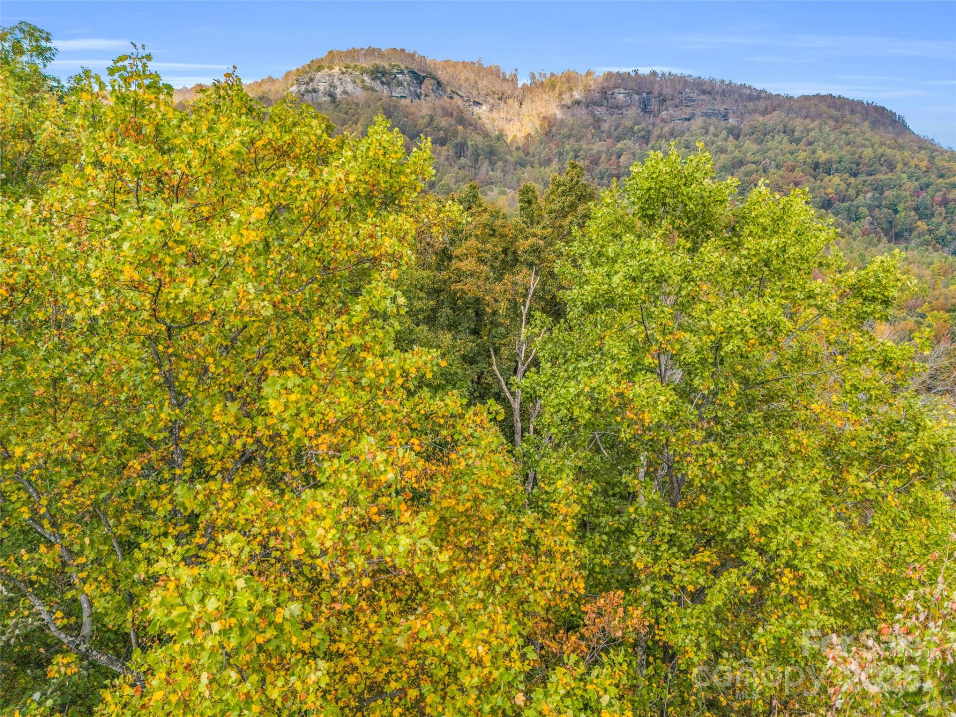 2140 Harm Creek Loop - Photo 22