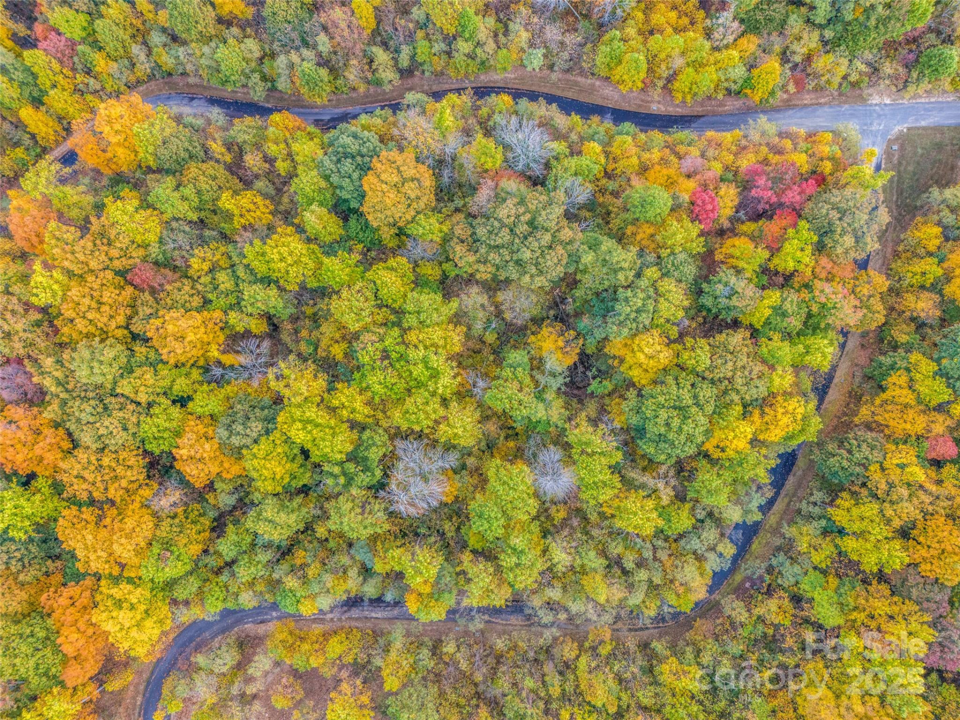 2140 Harm Creek Loop - Photo 23