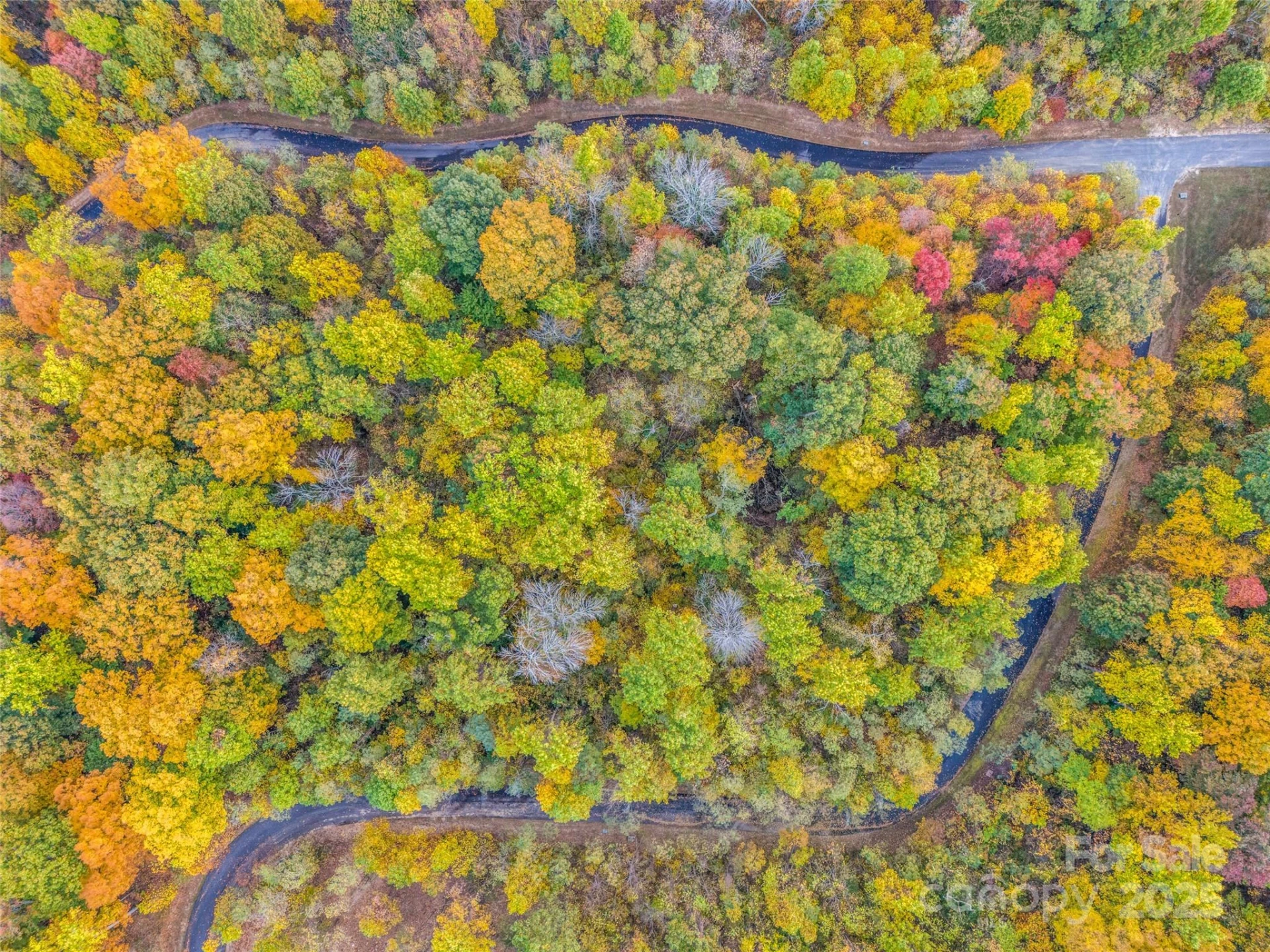 2140 Harm Creek Loop - Photo 23