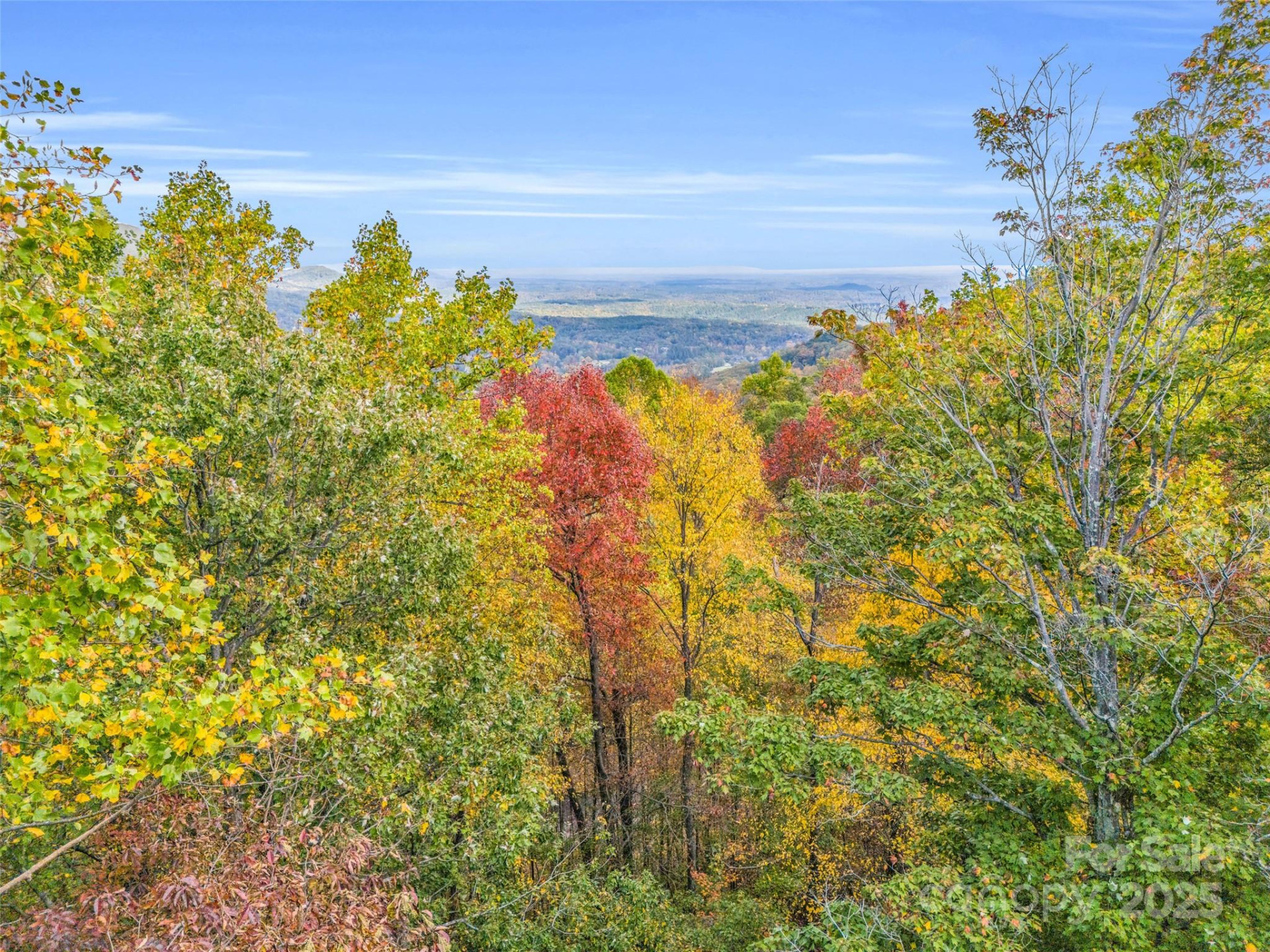 2140 Harm Creek Loop - Photo 24