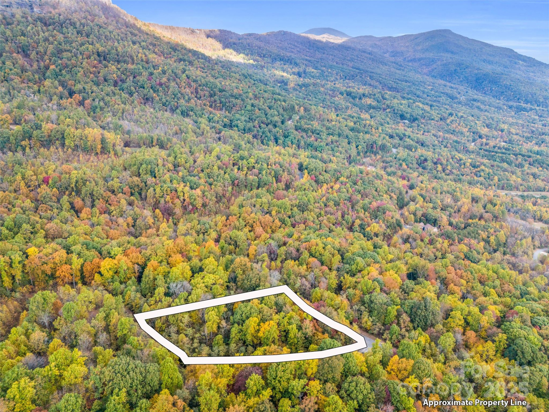 2140 Harm Creek Loop - Photo 6