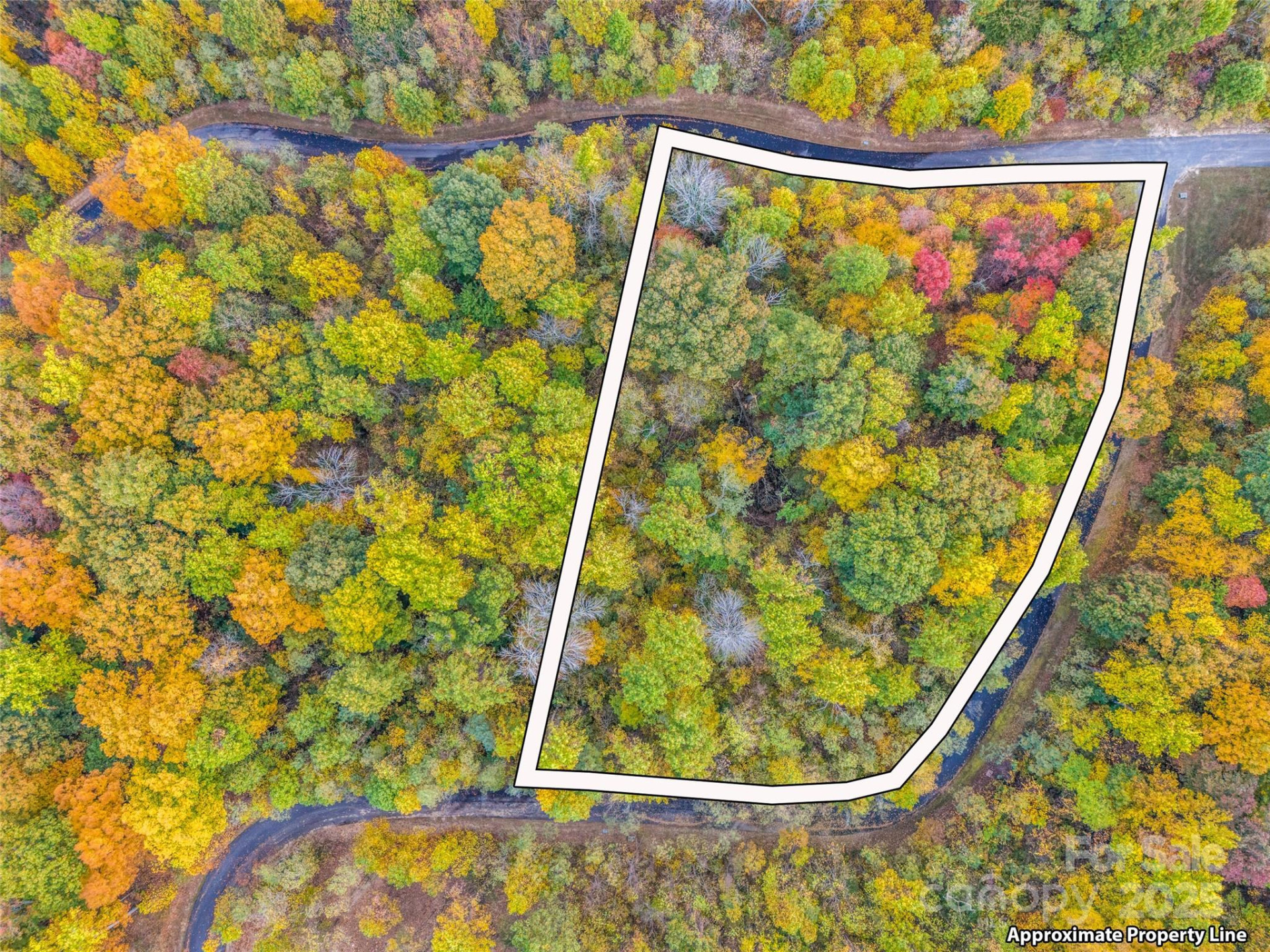 2140 Harm Creek Loop - Photo 7