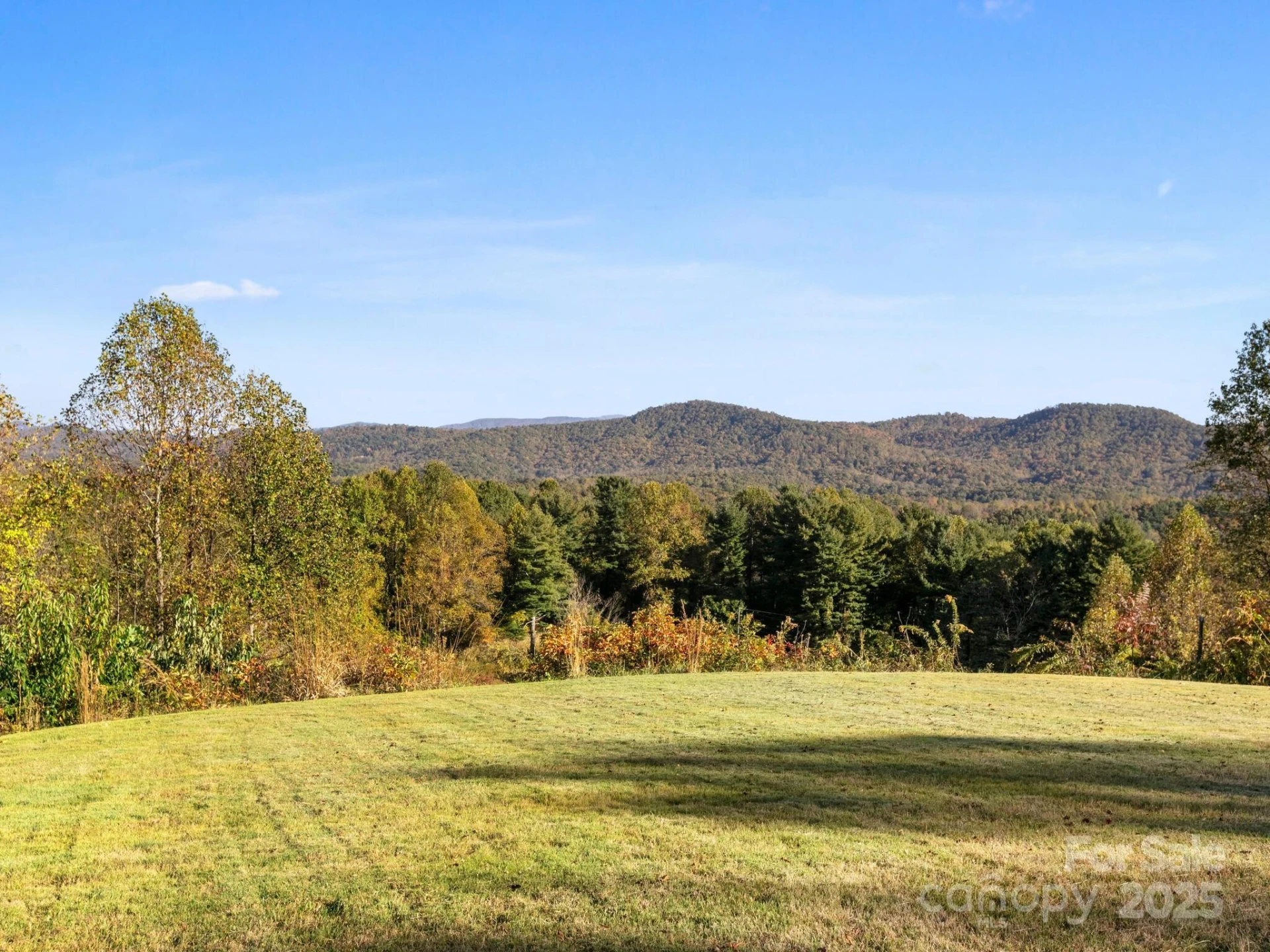5481 Greenville Highway - Photo 2