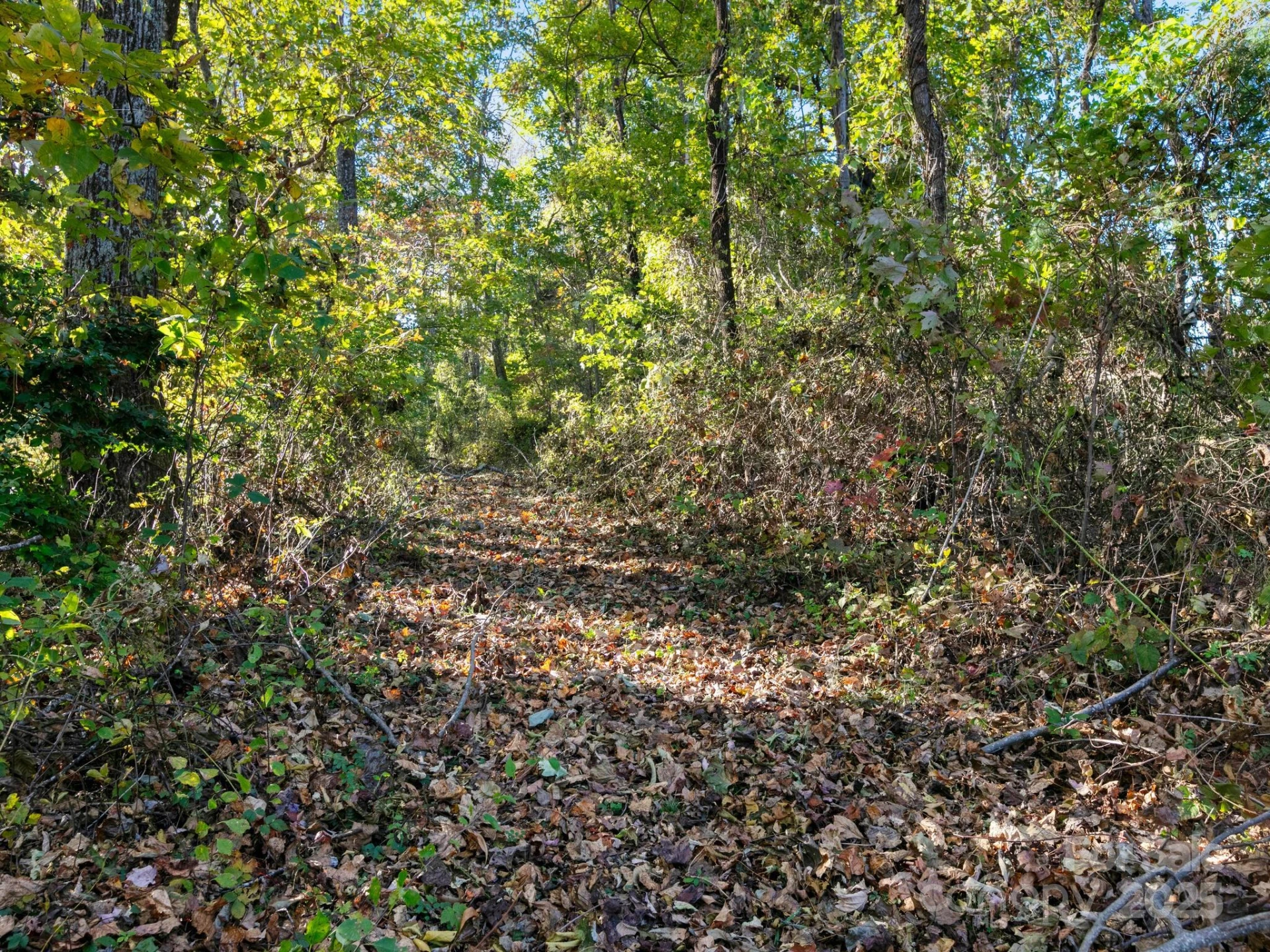 5481 Greenville Highway - Photo 29