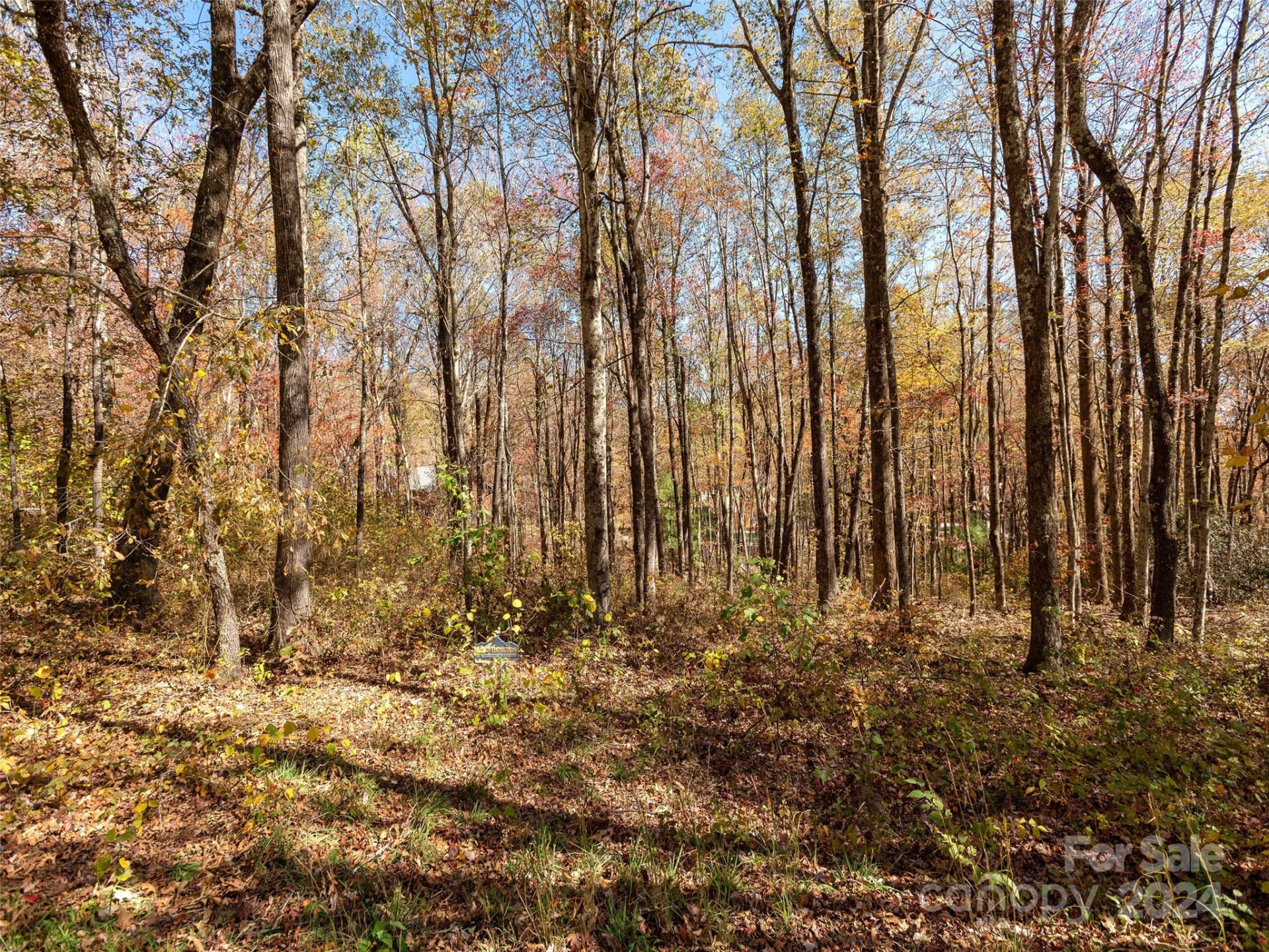 0 Grand Highland Drive #48 - Photo 10