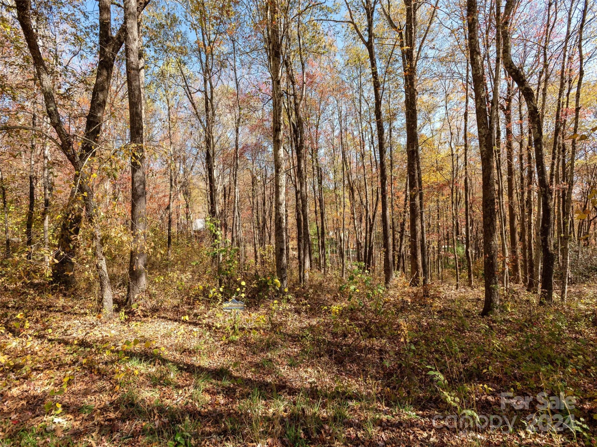 0 Grand Highland Drive #48 - Photo 10