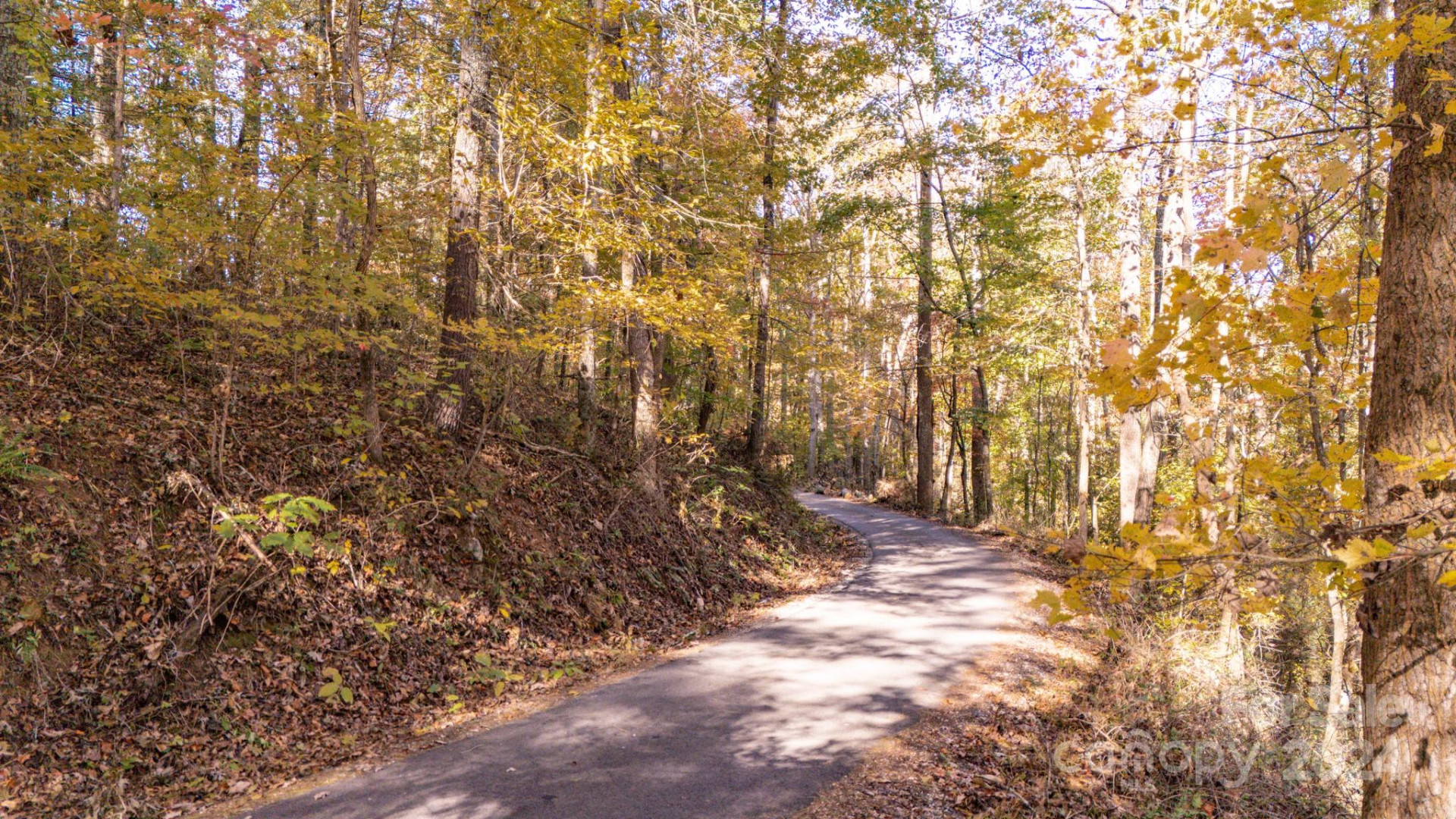 00 Pinnacle Drive #3 - Photo 11