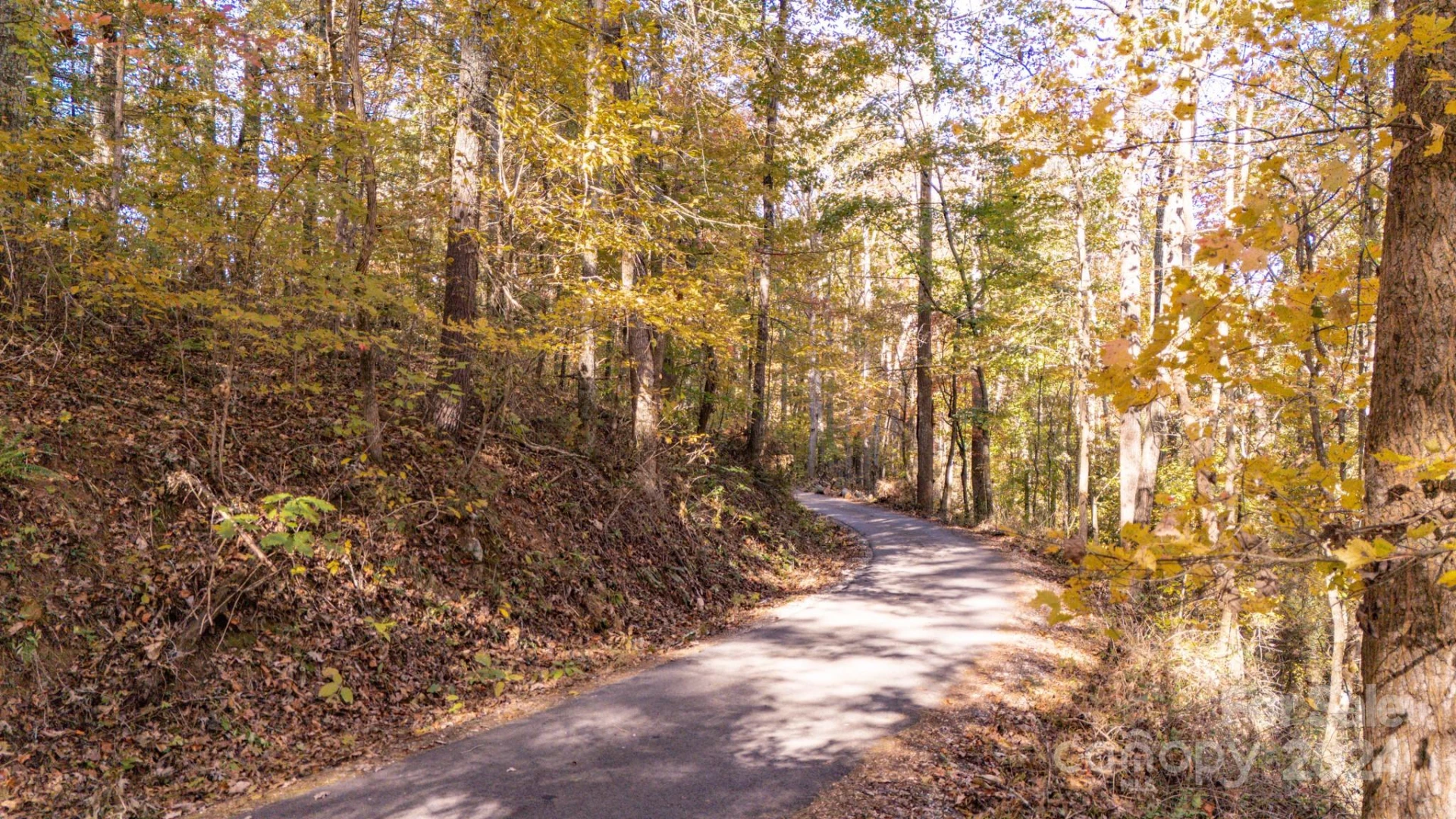 00 Pinnacle Drive #3 - Photo 11