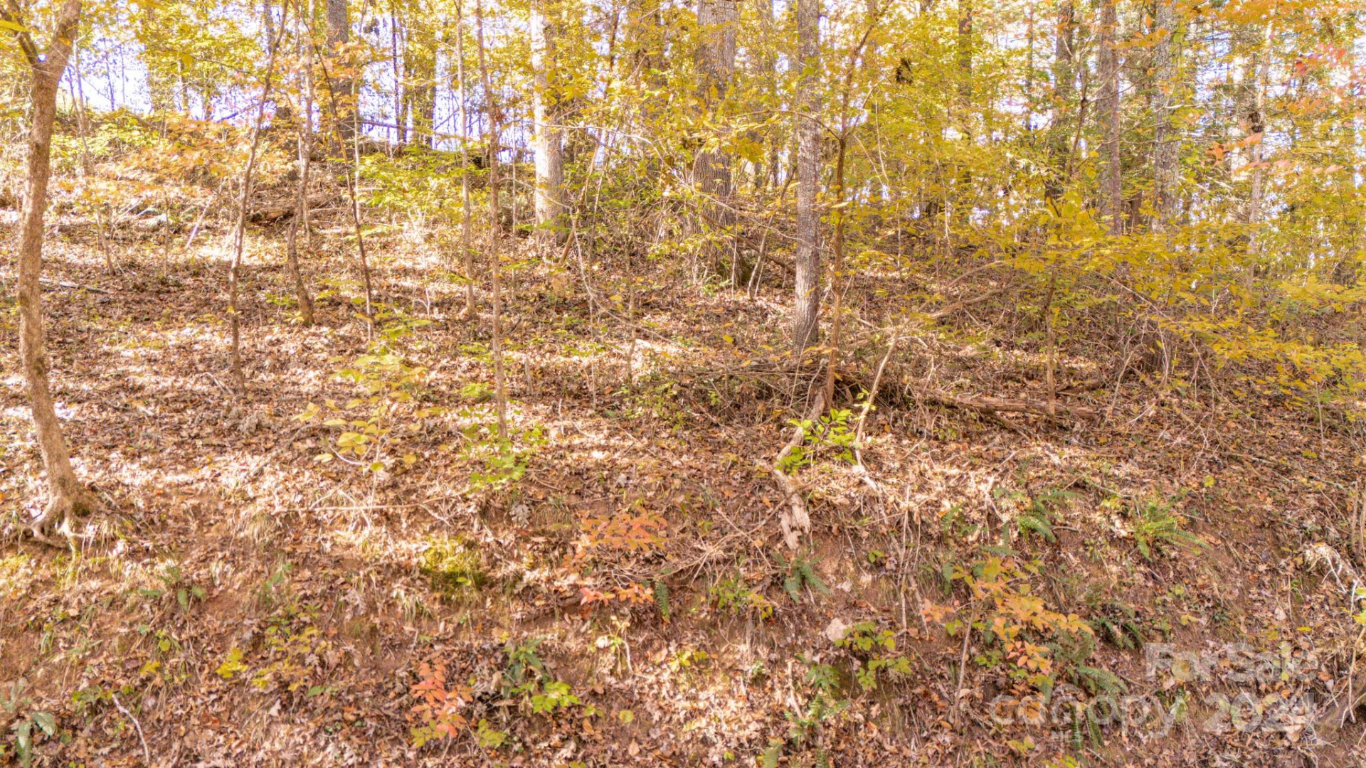 00 Pinnacle Drive #3 - Photo 13