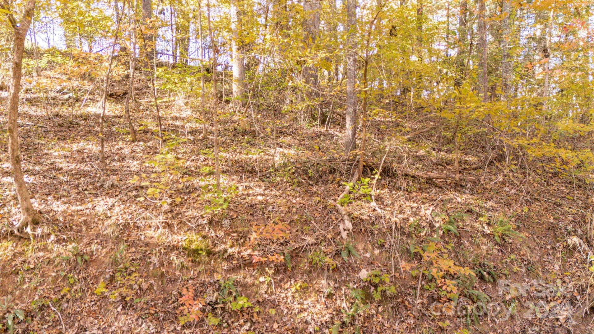 00 Pinnacle Drive #3 - Photo 13