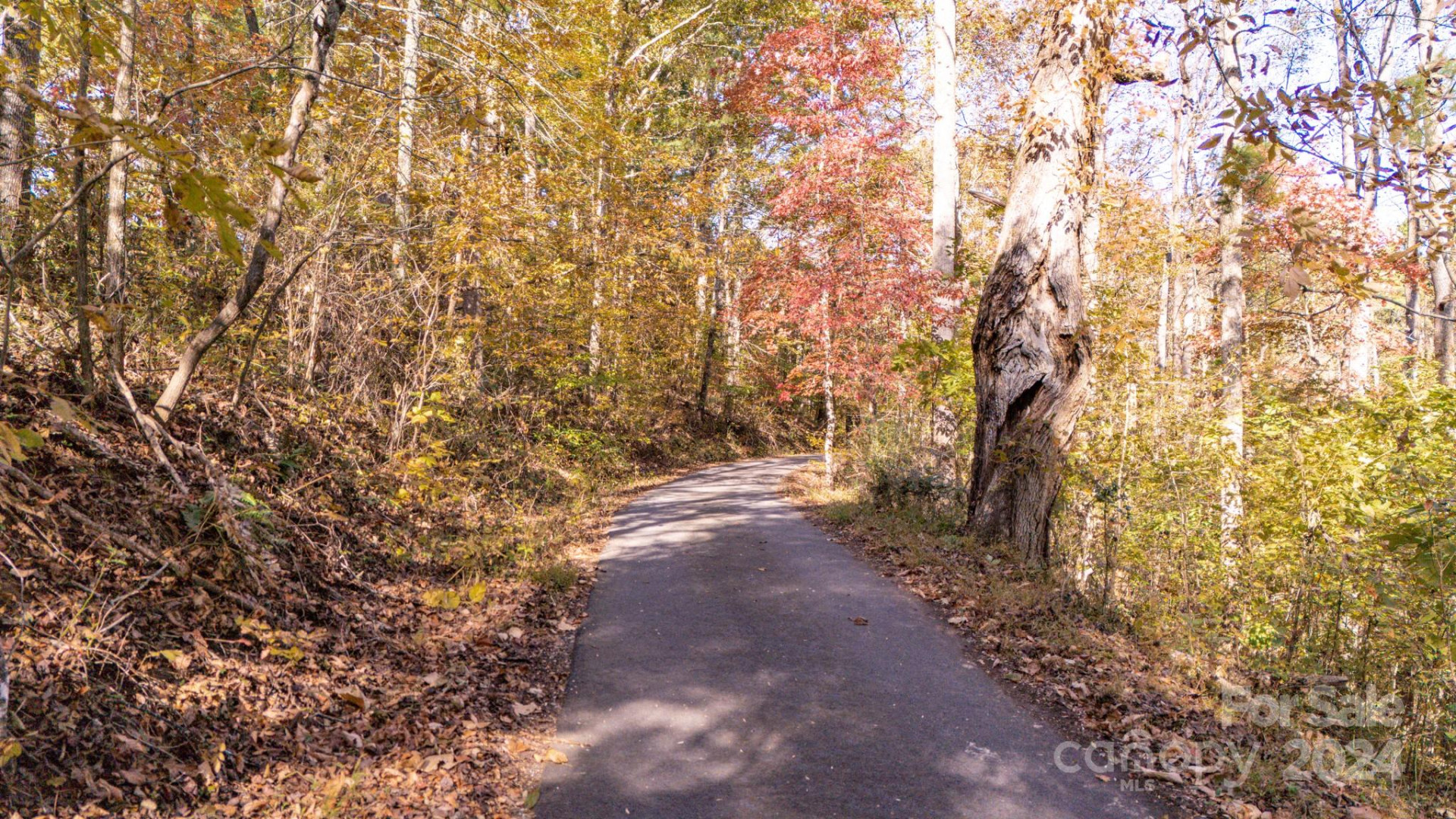 00 Pinnacle Drive #3 - Photo 15