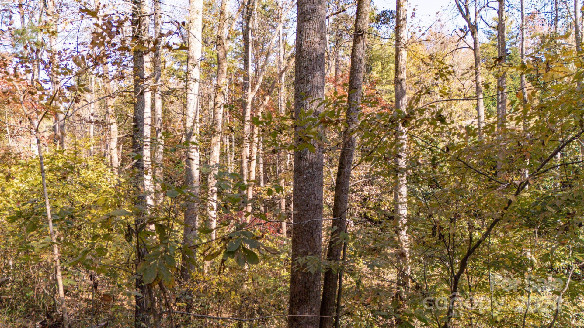 00 Pinnacle Drive #3 - Photo 16