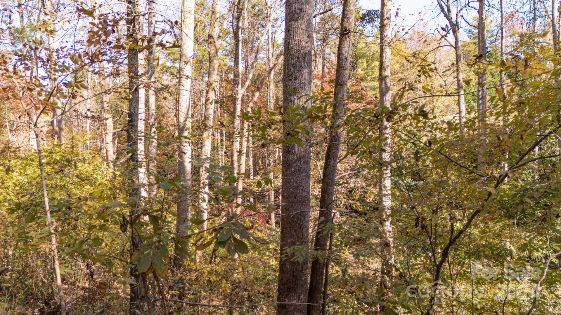 00 Pinnacle Drive #3 - Photo 16