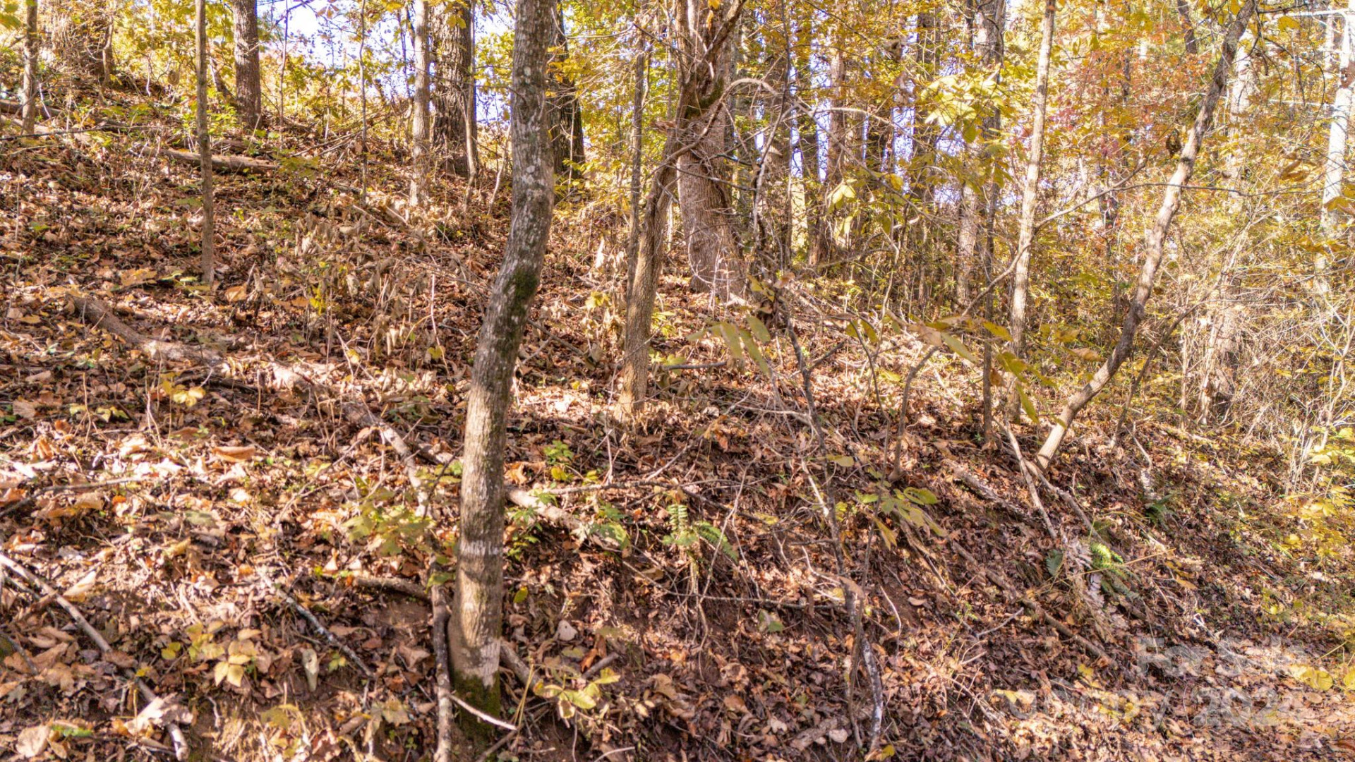 00 Pinnacle Drive #3 - Photo 17