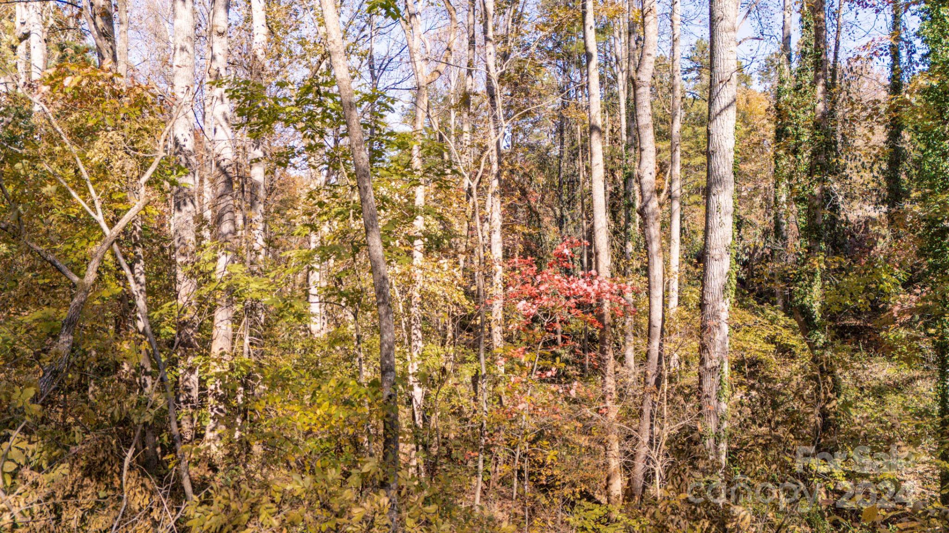 00 Pinnacle Drive #3 - Photo 19