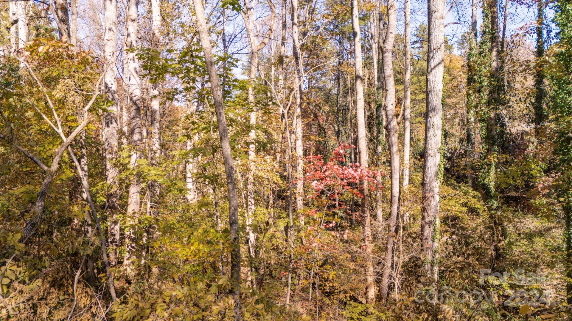 00 Pinnacle Drive #3 - Photo 19