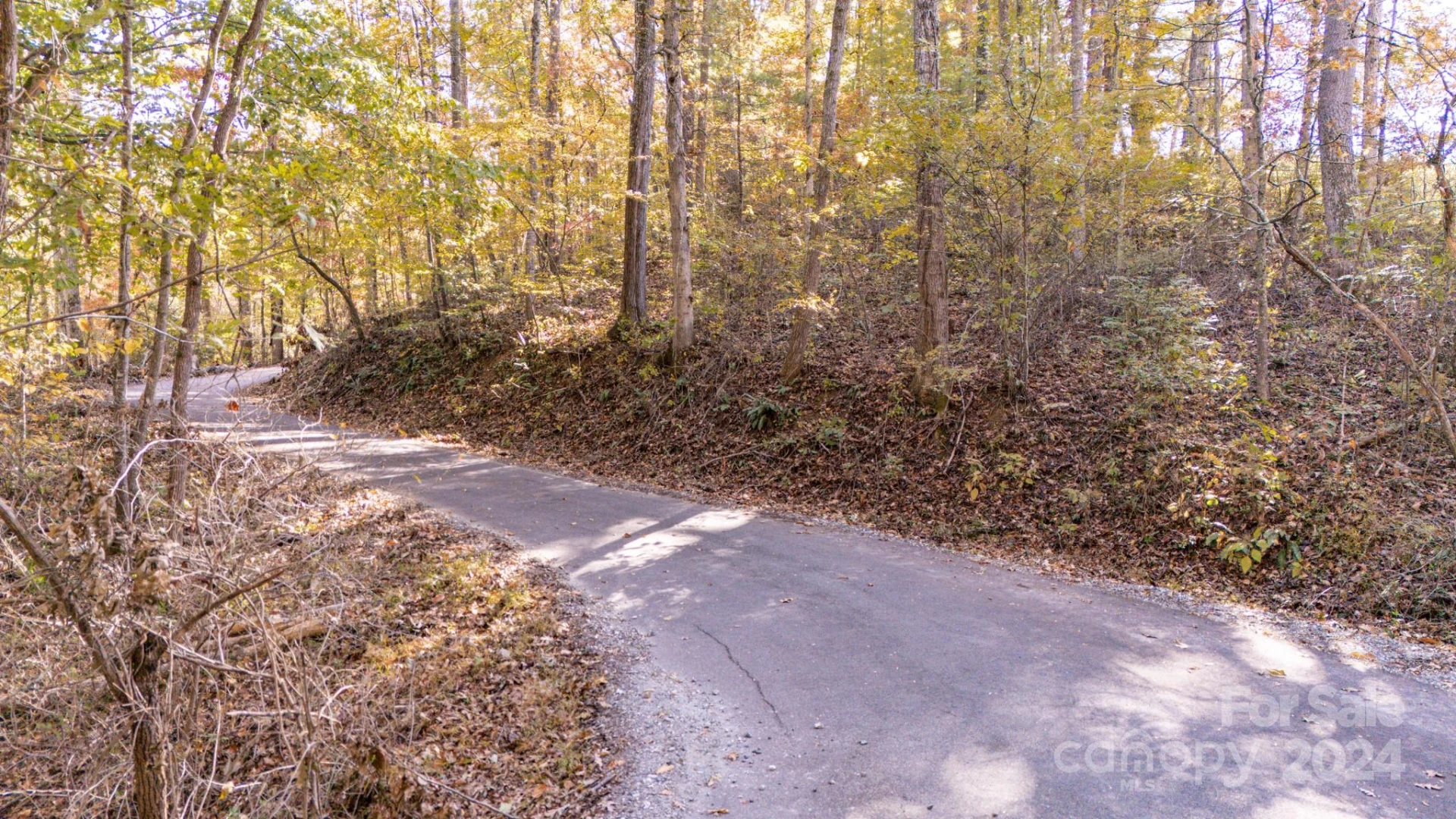 00 Pinnacle Drive #3 - Photo 3
