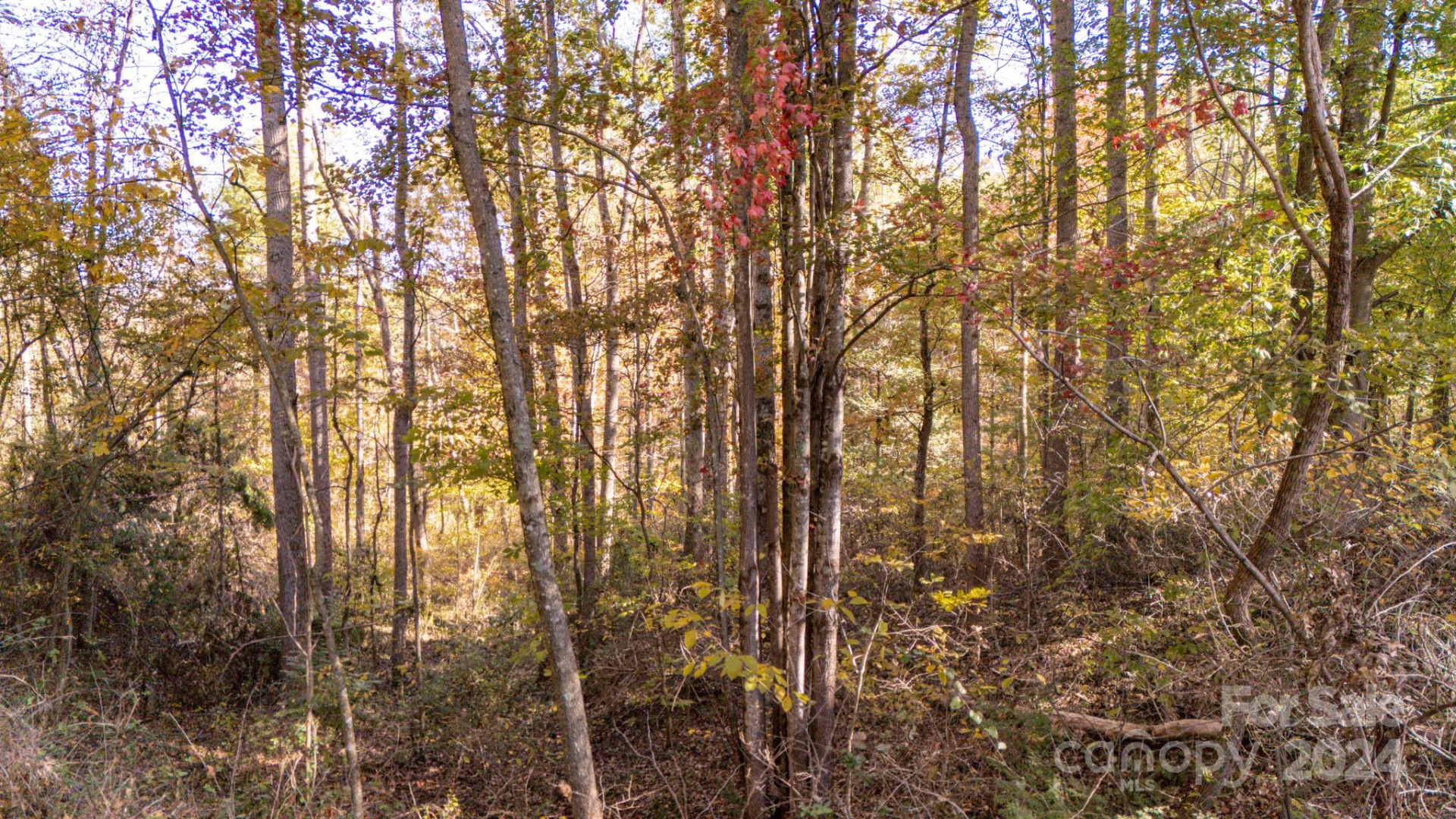 00 Pinnacle Drive #3 - Photo 4