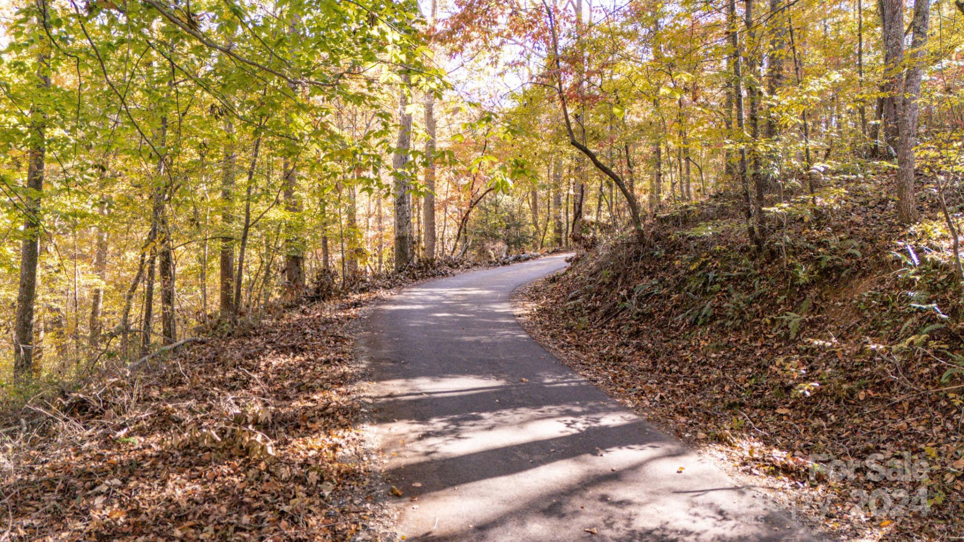 00 Pinnacle Drive #3 - Photo 5