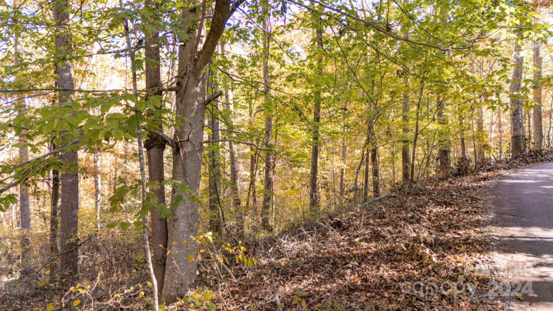 00 Pinnacle Drive #3 - Photo 6