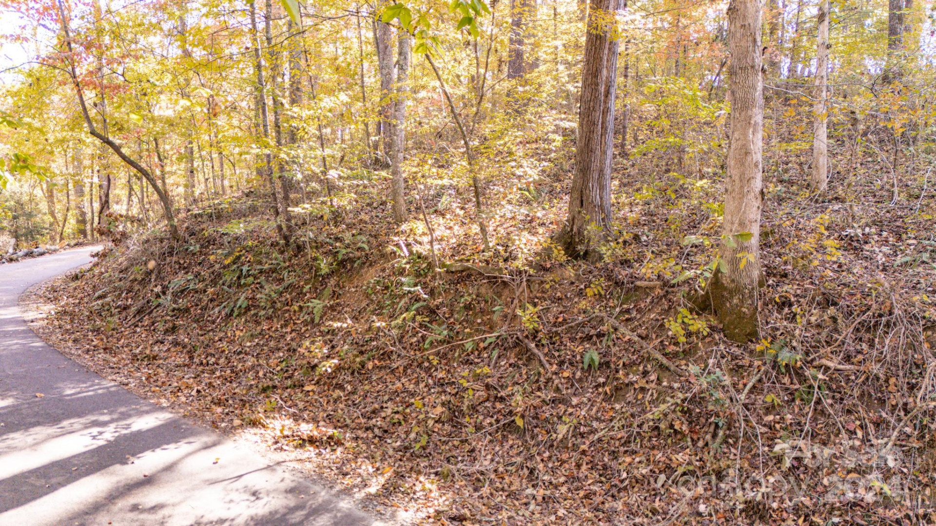 00 Pinnacle Drive #3 - Photo 7