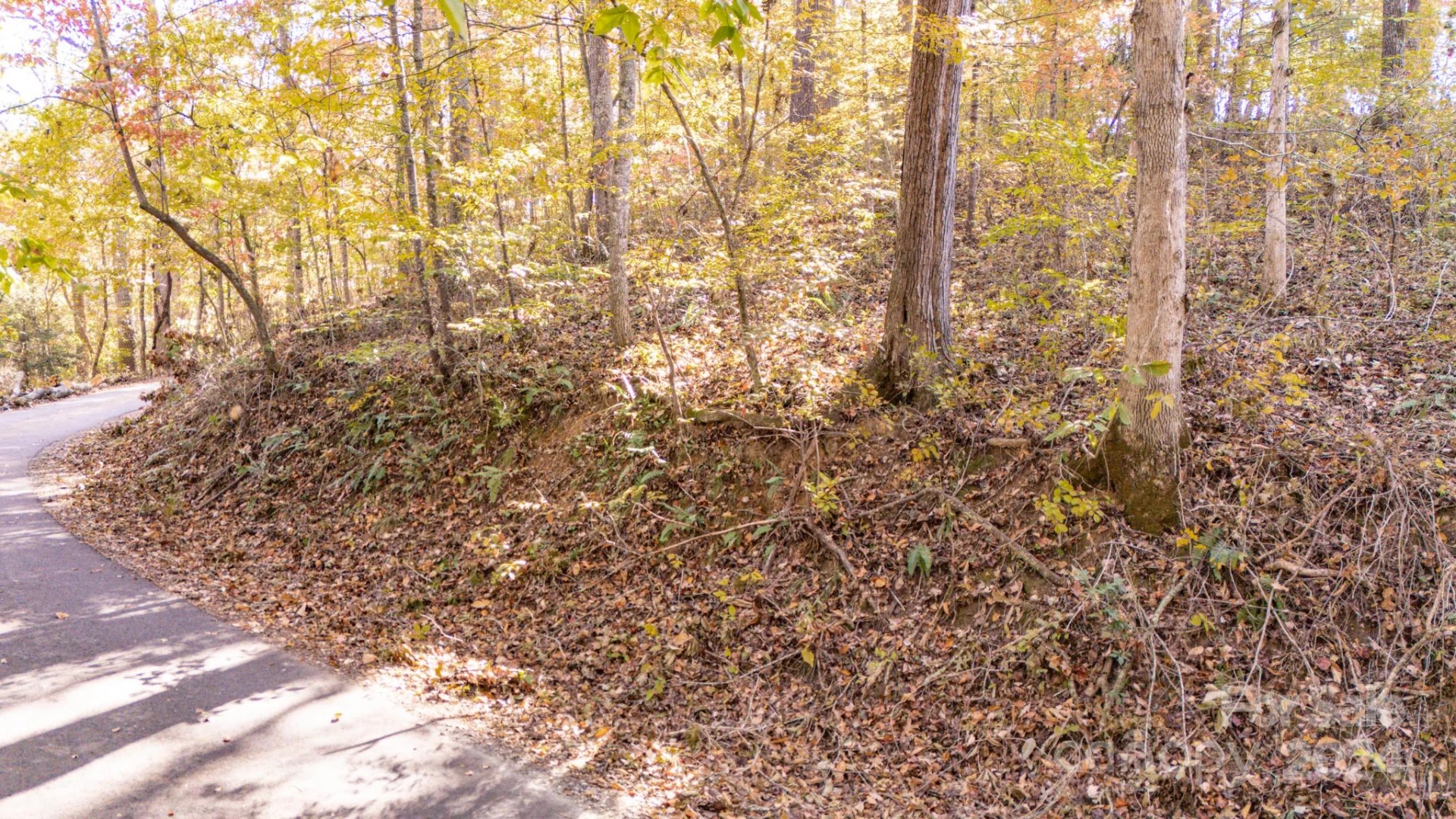 00 Pinnacle Drive #3 - Photo 7