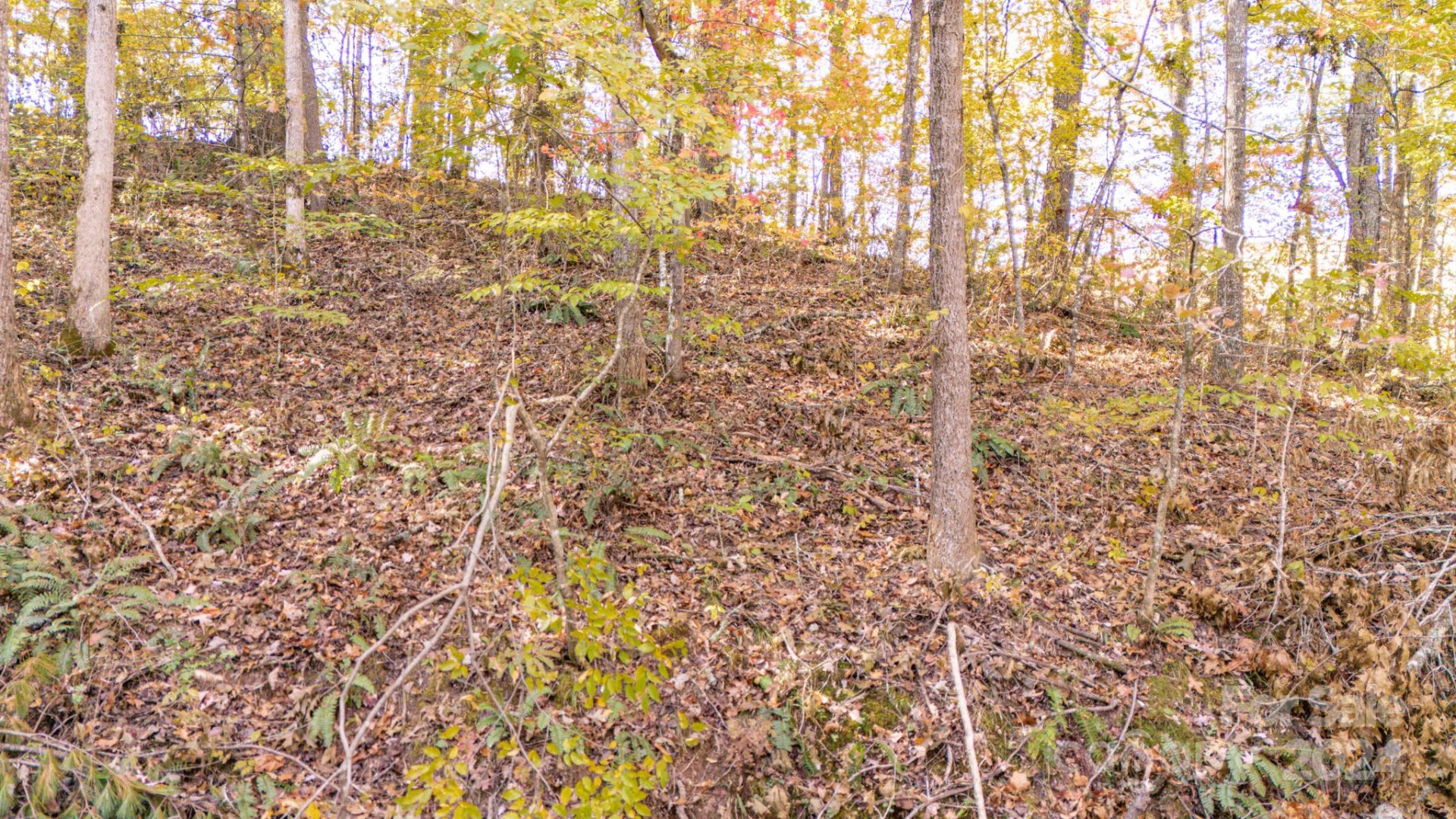 00 Pinnacle Drive #3 - Photo 8