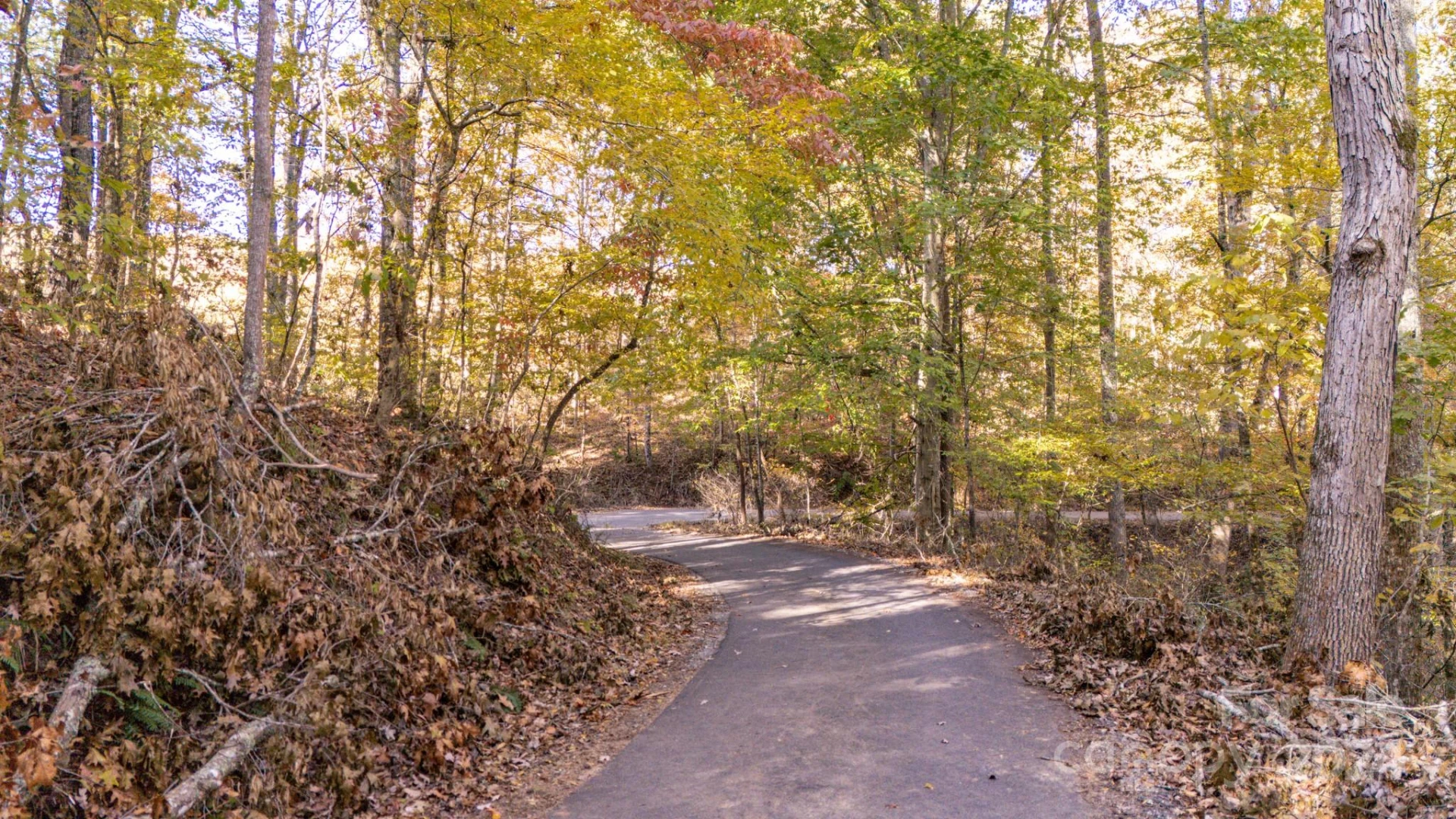00 Pinnacle Drive #3 - Photo 9