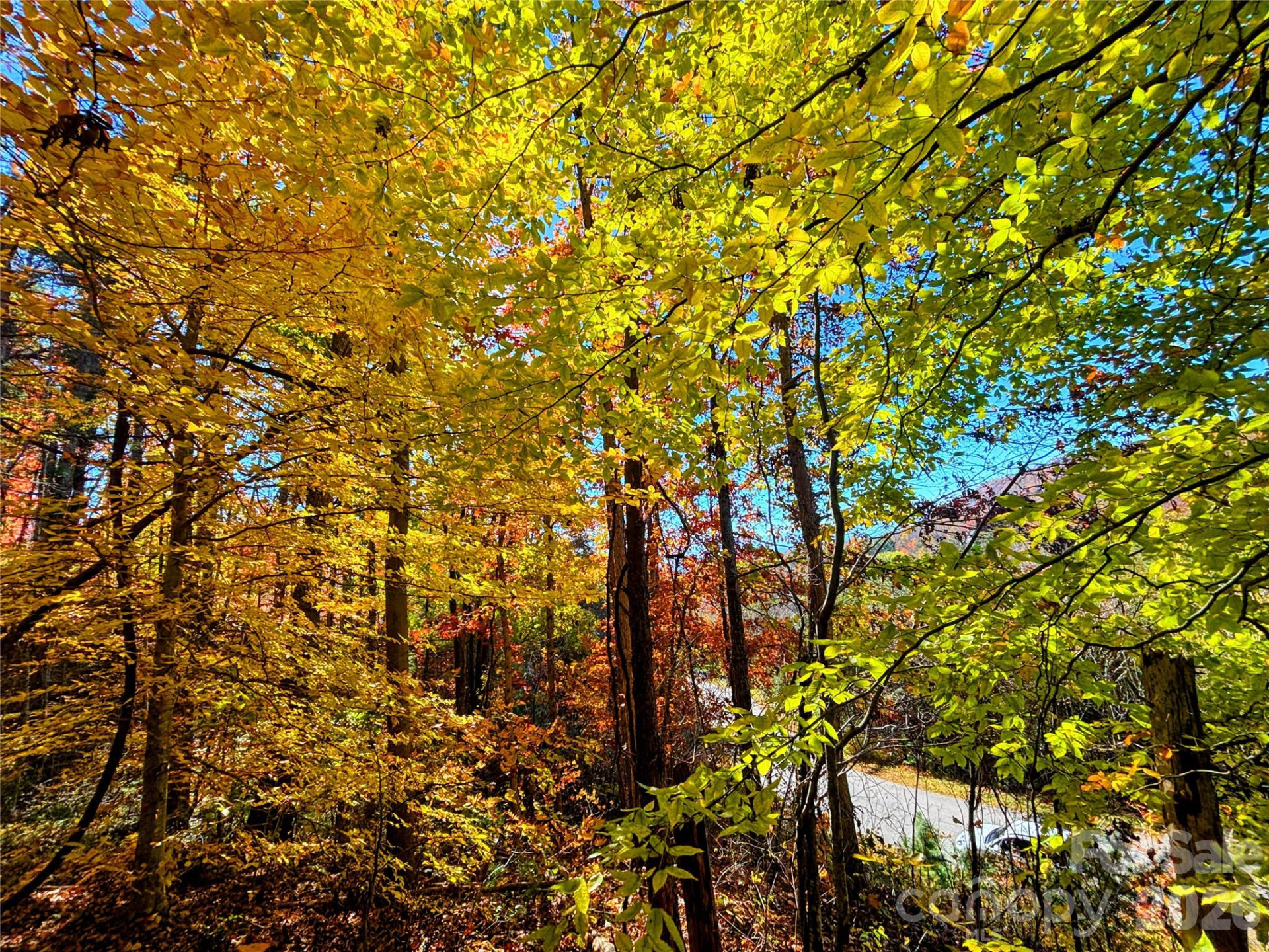 66 HawTree Court #266 - Photo 3