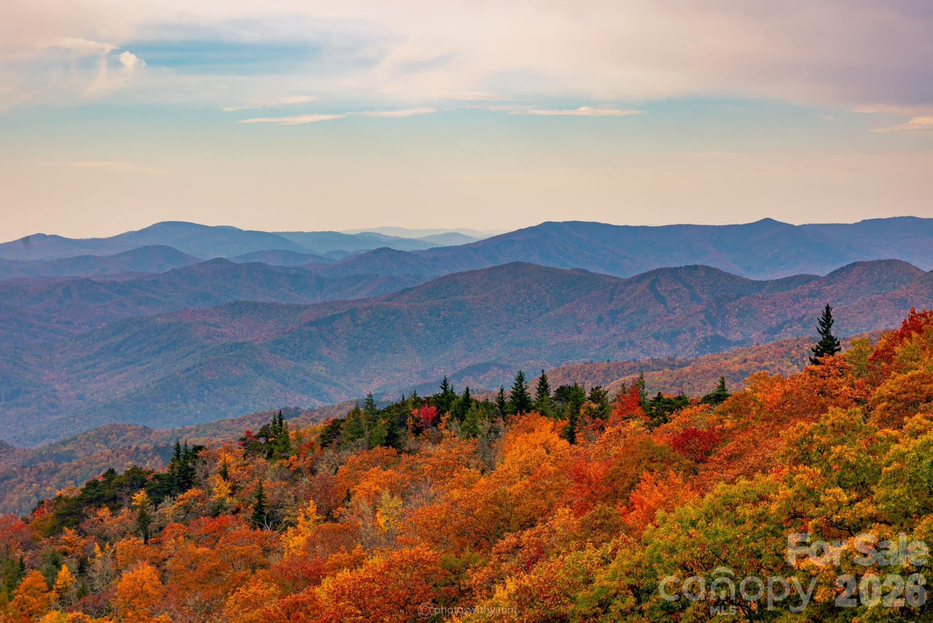 66 HawTree Court #266 - Photo 23