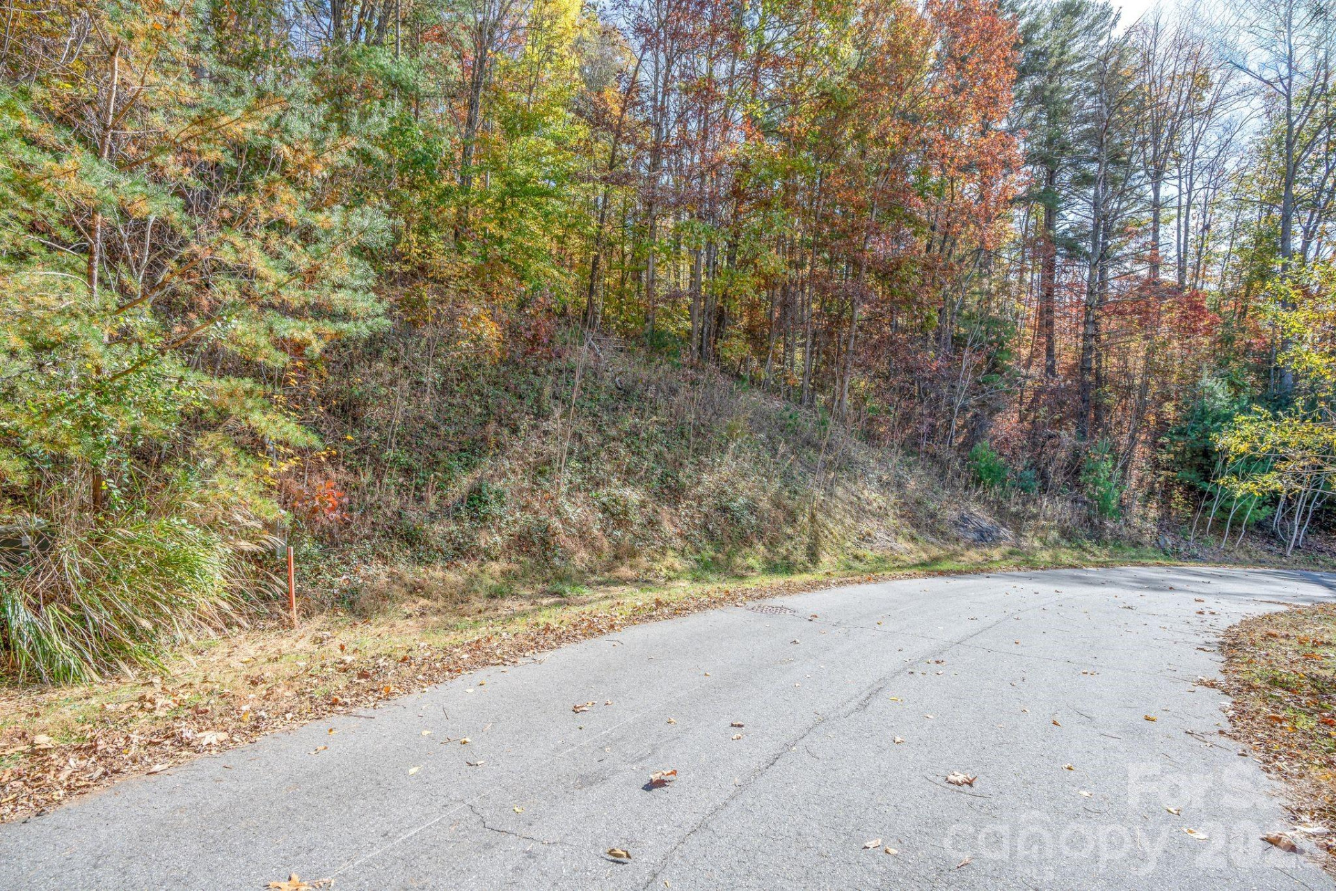 66 HawTree Court #266 - Photo 6