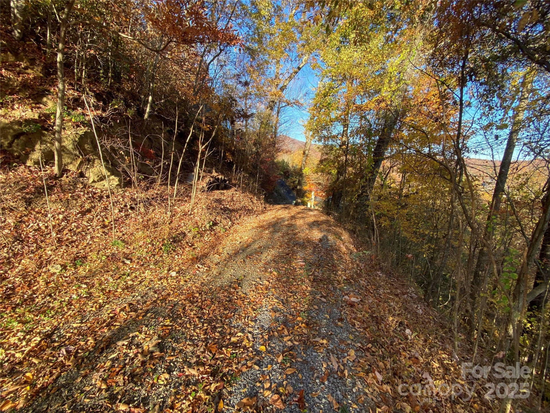 40 Cougar Lane #13,14,15,16 - Photo 11