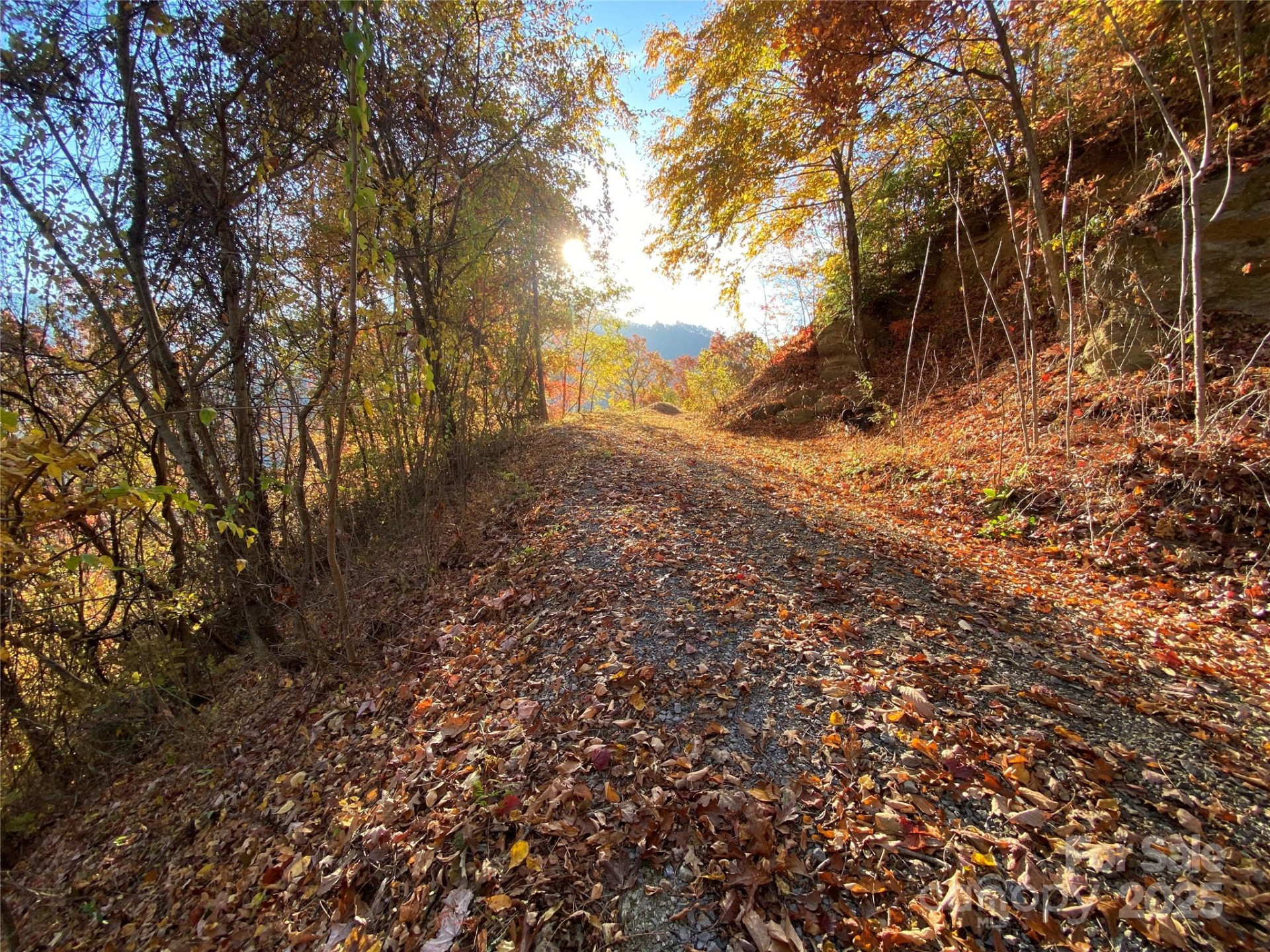 40 Cougar Lane #13,14,15,16 - Photo 12