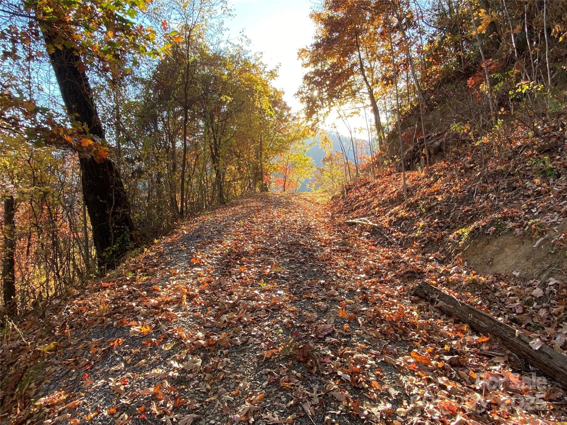 40 Cougar Lane #13,14,15,16 - Photo 16