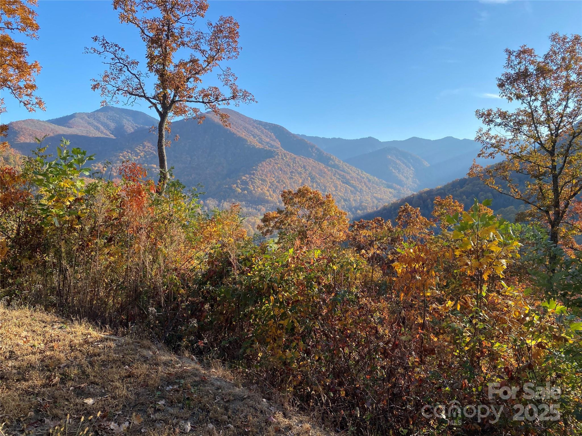 40 Cougar Lane #13,14,15,16 - Photo 18