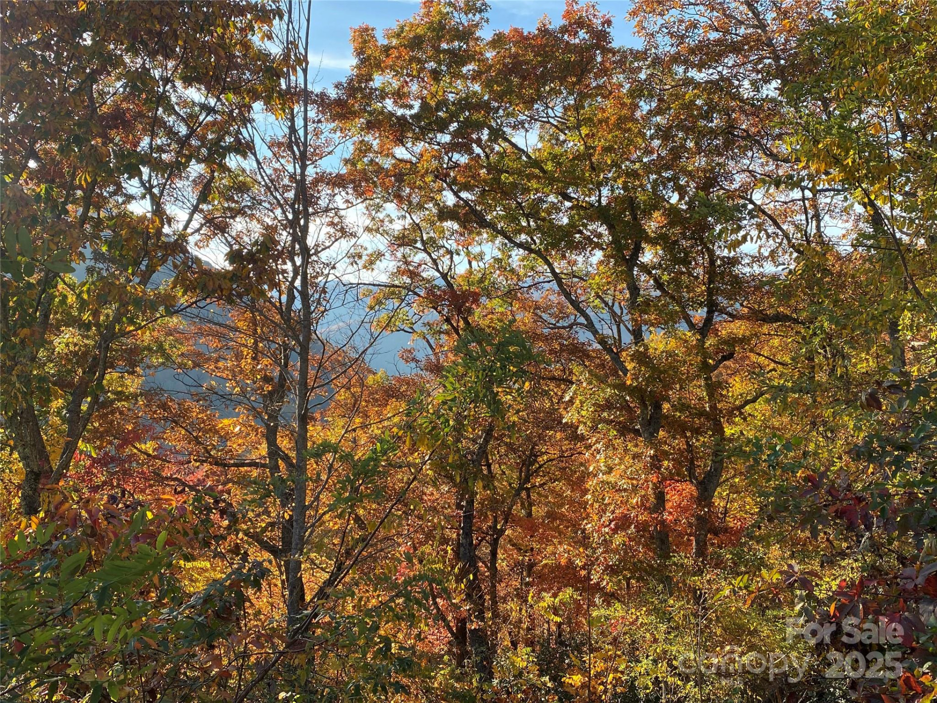 40 Cougar Lane #13,14,15,16 - Photo 22