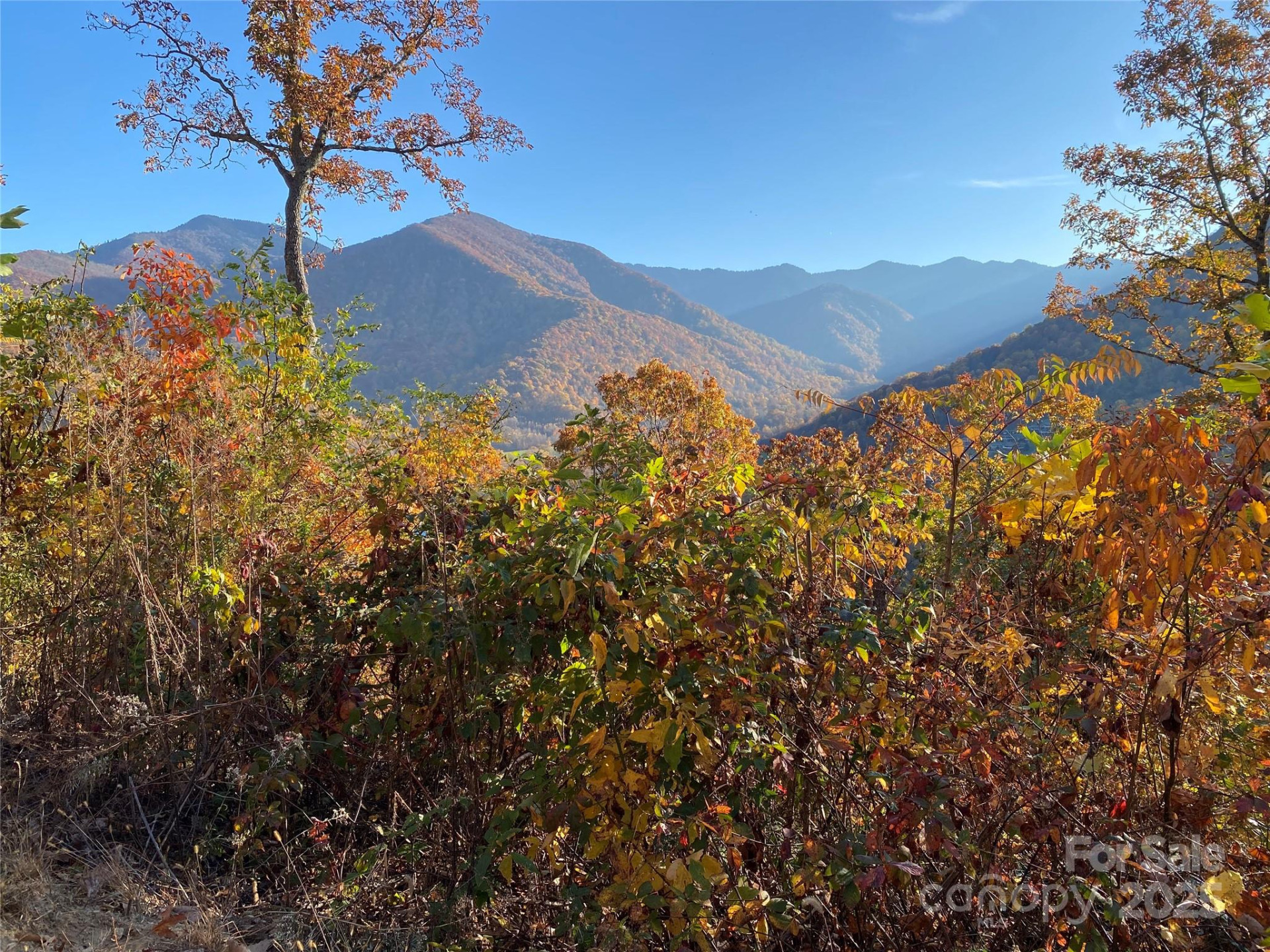 40 Cougar Lane #13,14,15,16 - Photo 23