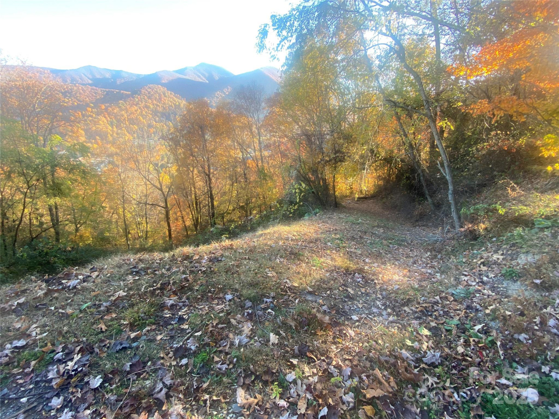 40 Cougar Lane #13,14,15,16 - Photo 25