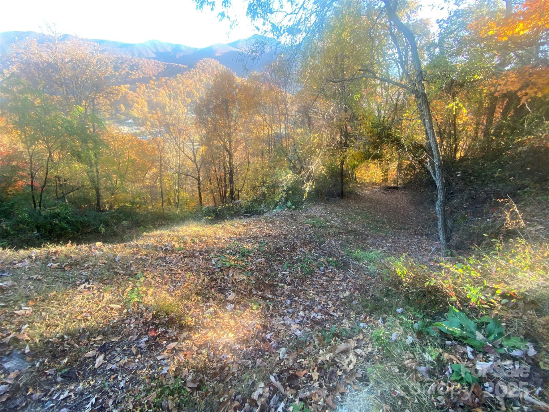 40 Cougar Lane #13,14,15,16 - Photo 26