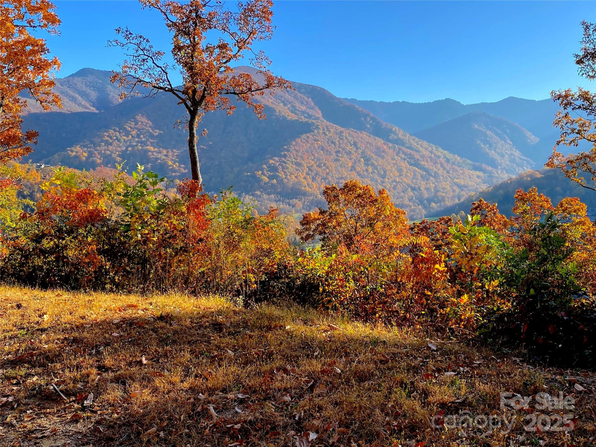 40 Cougar Lane #13,14,15,16 - Photo 35