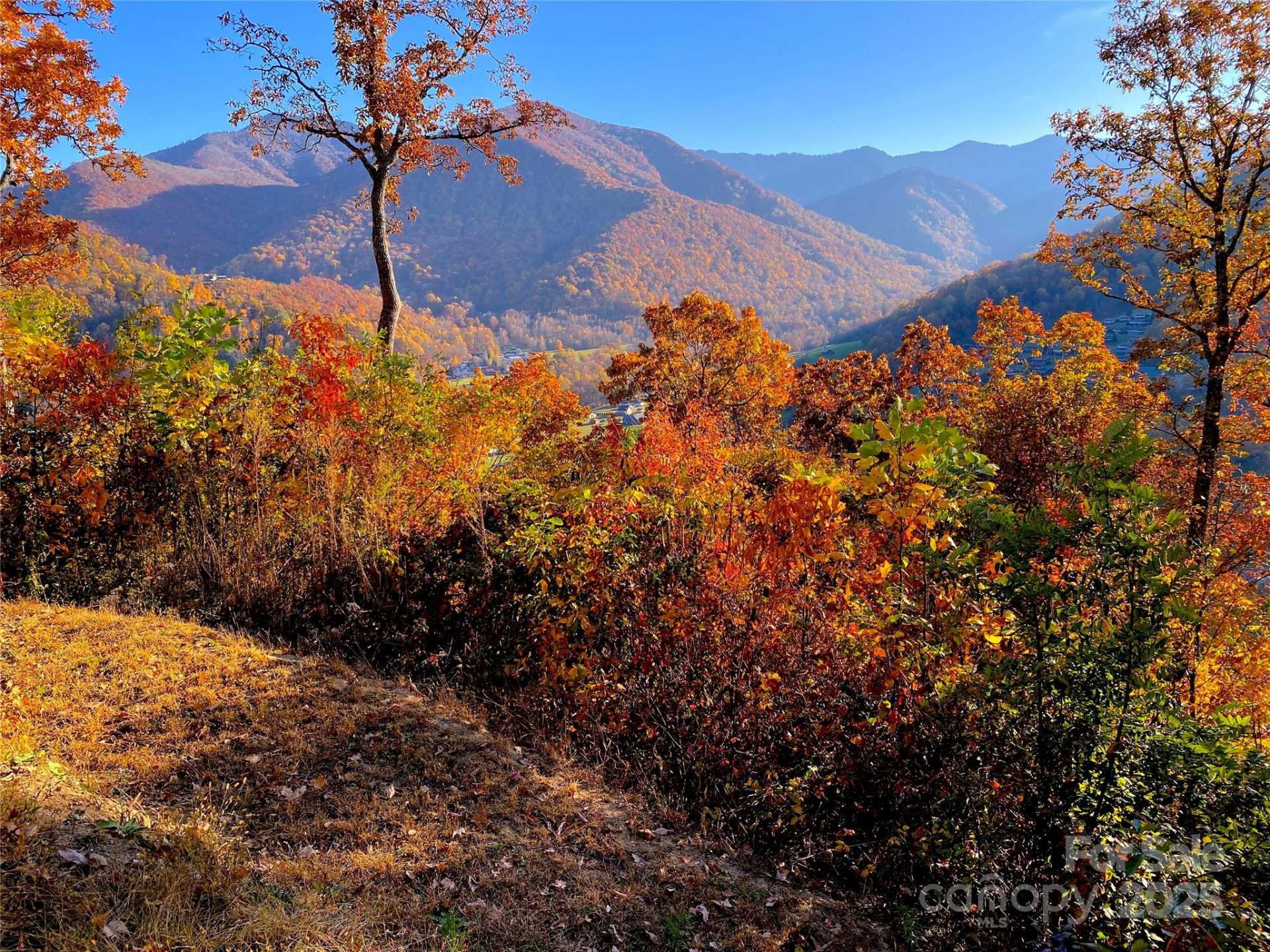 40 Cougar Lane #13,14,15,16 - Photo 36