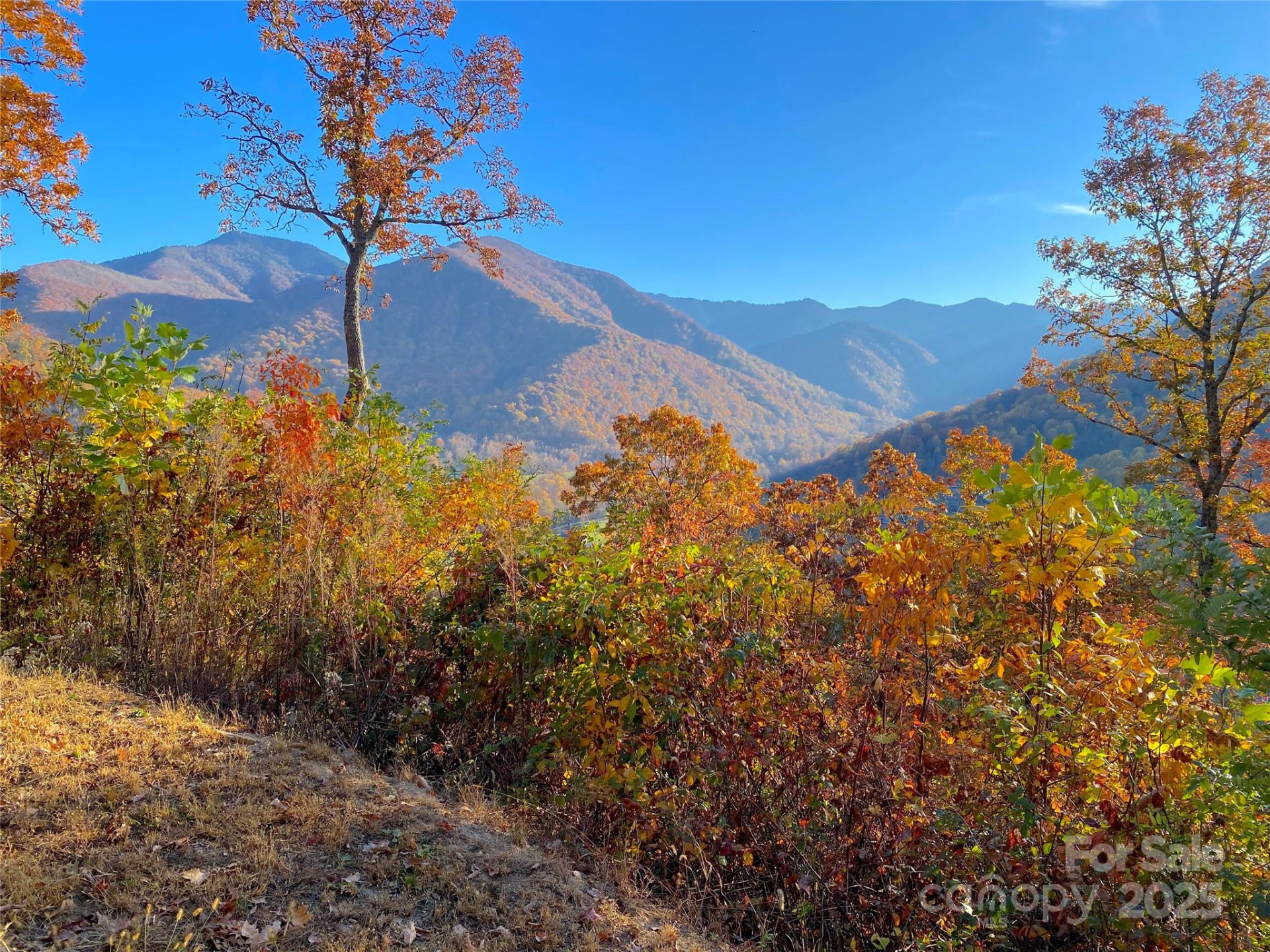 40 Cougar Lane #13,14,15,16 - Photo 37