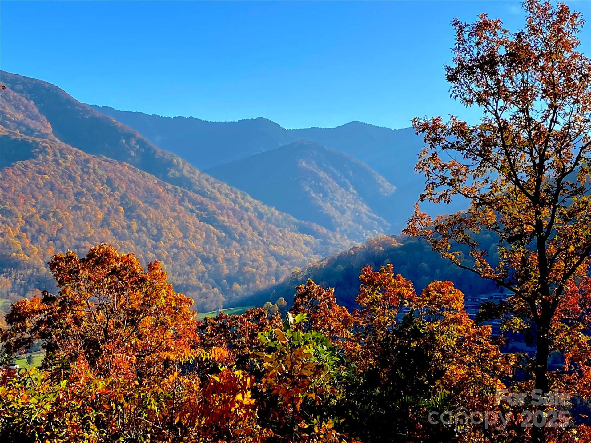 40 Cougar Lane #13,14,15,16 - Photo 6