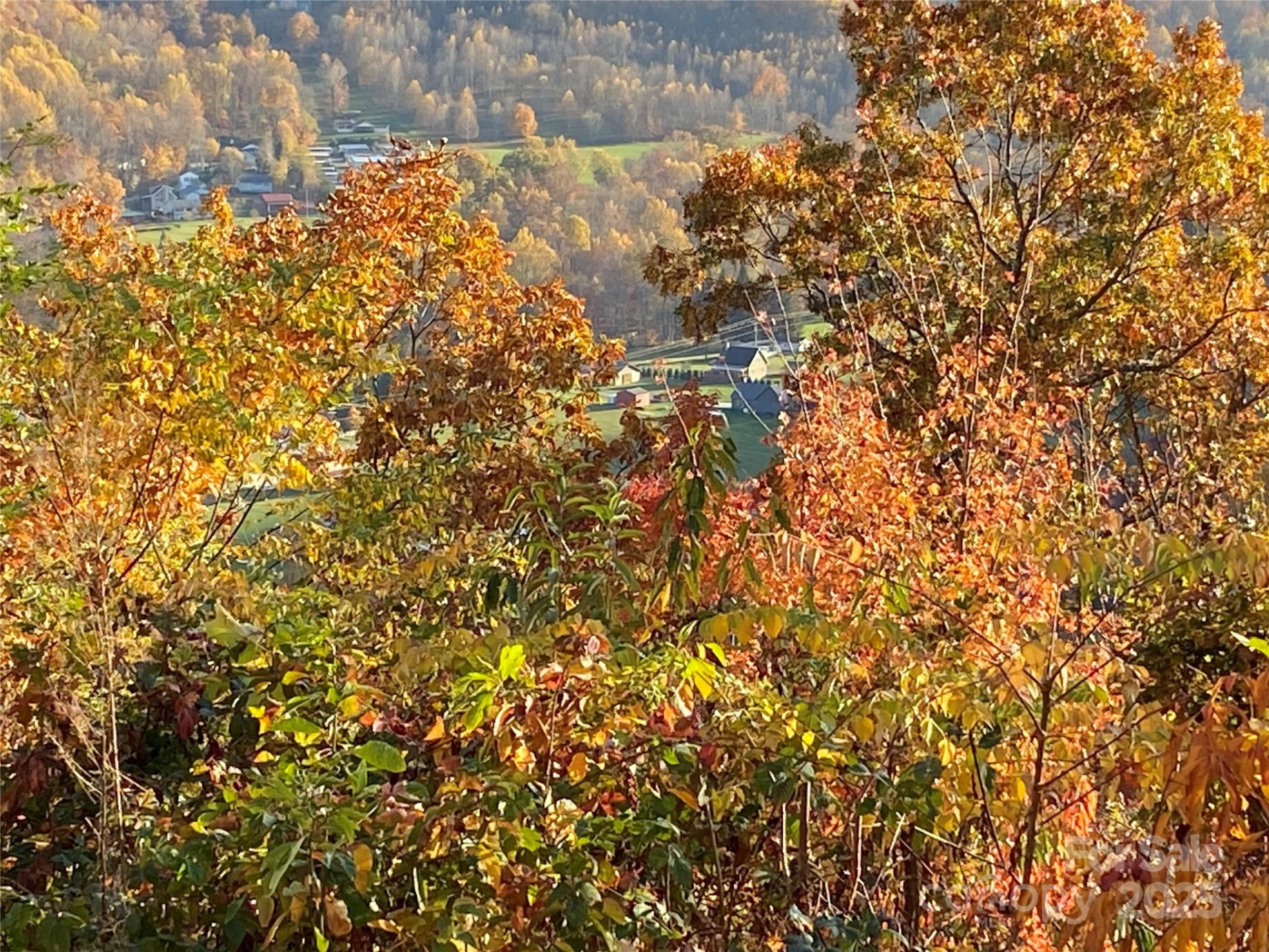 40 Cougar Lane #13,14,15,16 - Photo 8